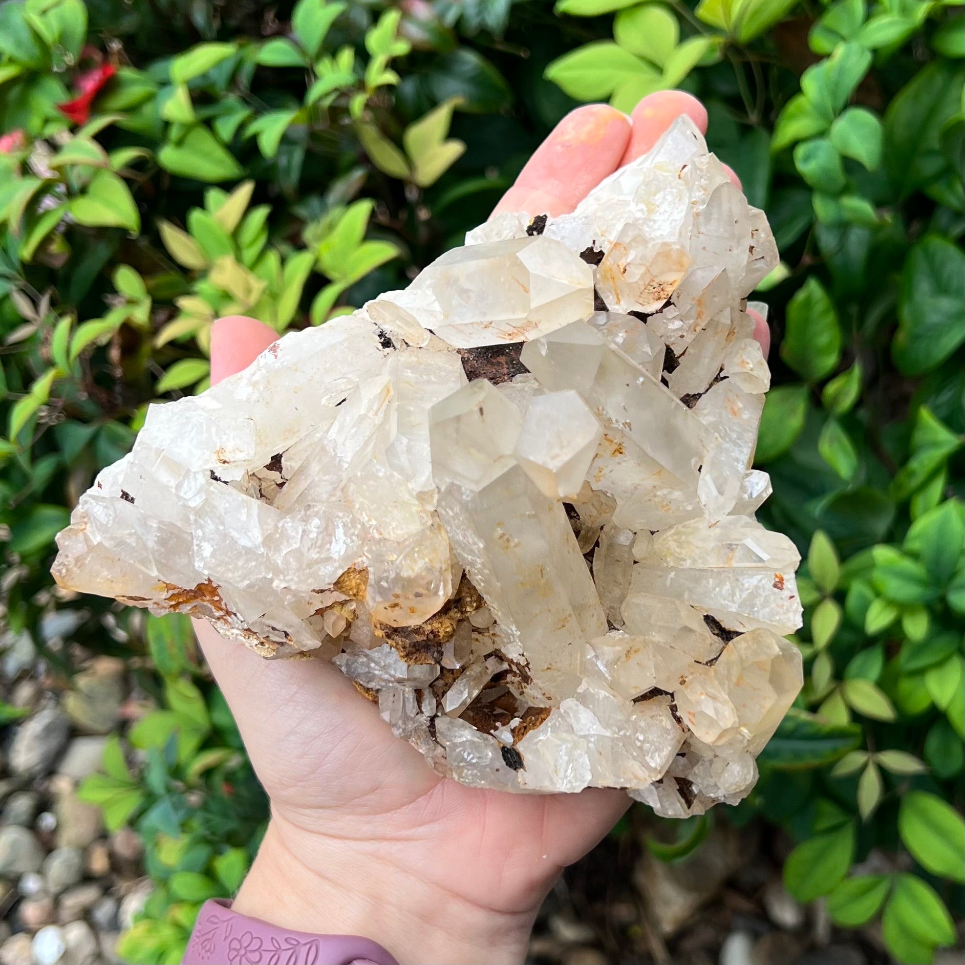 Clear Quartz Cluster
