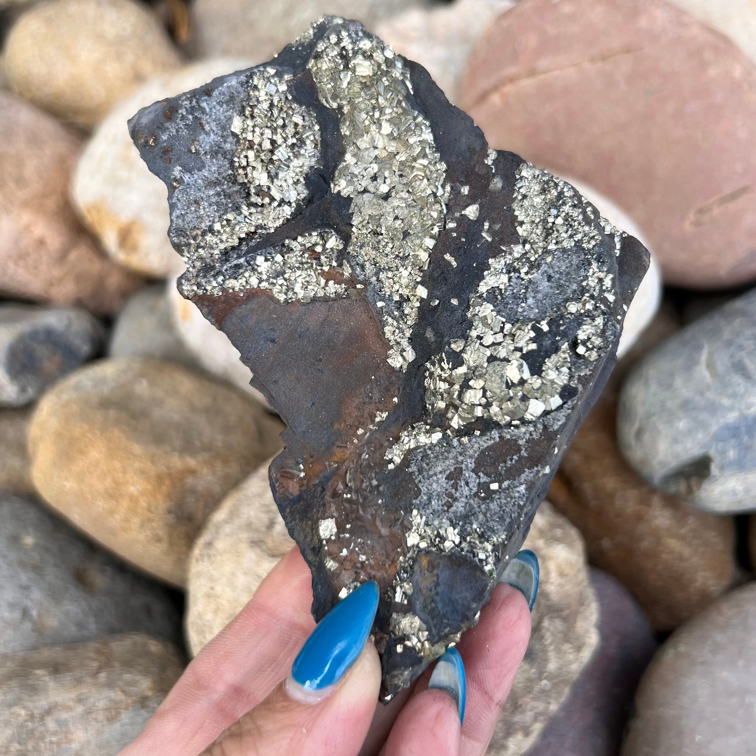 Pyrite in Shungite Specimen