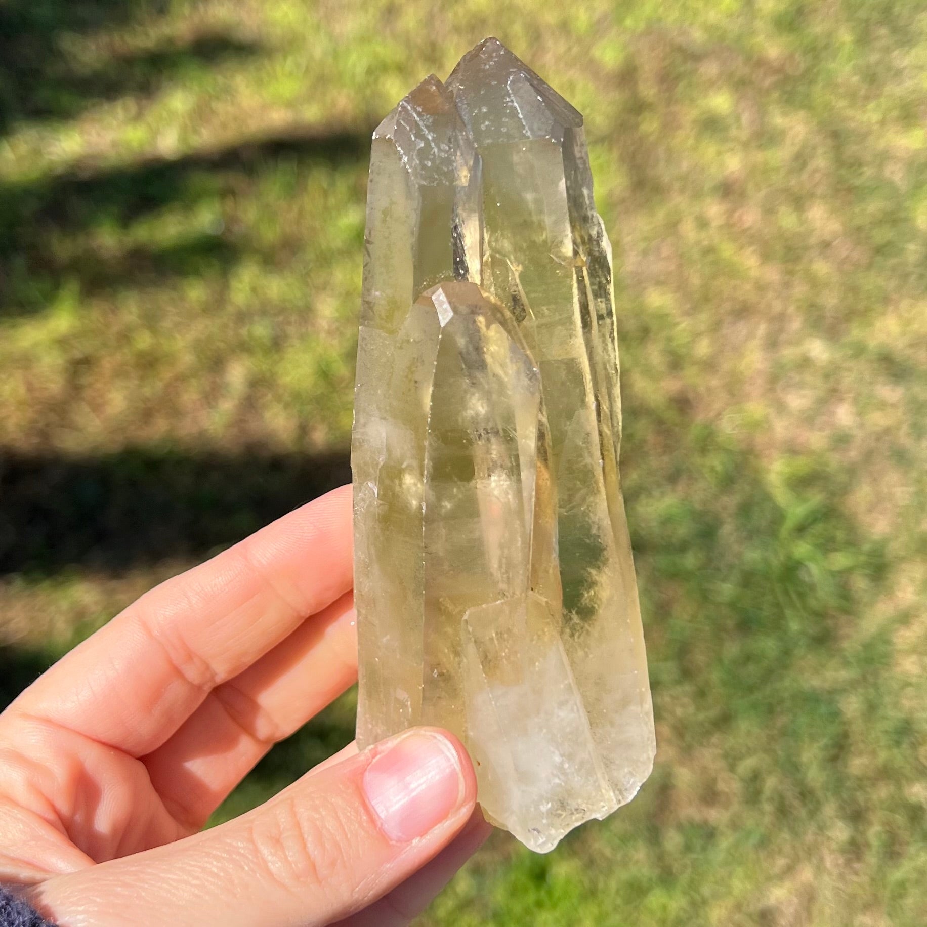 Citrine ~ Natural Cluster