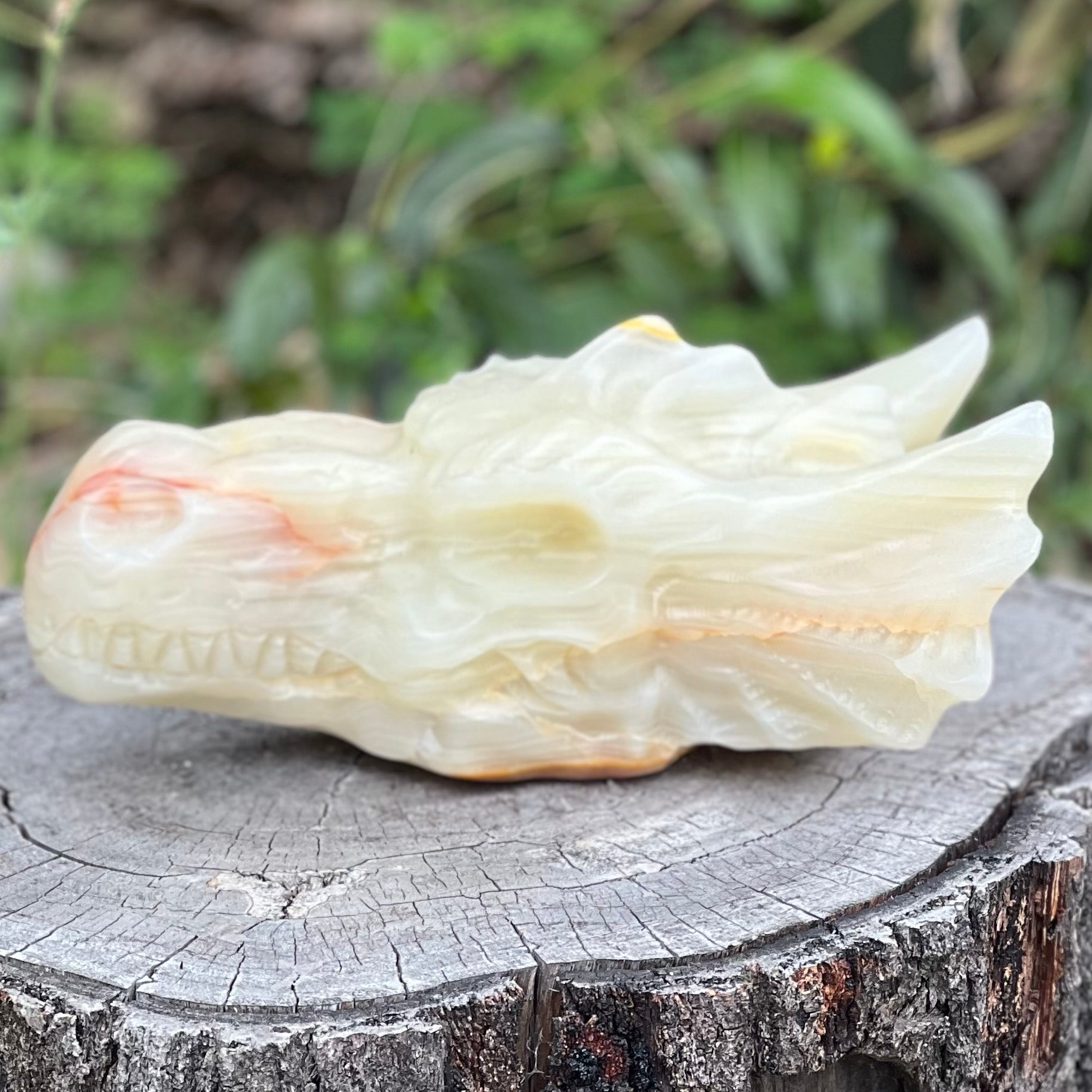 Afghanistan Jade Dragon Head Carving