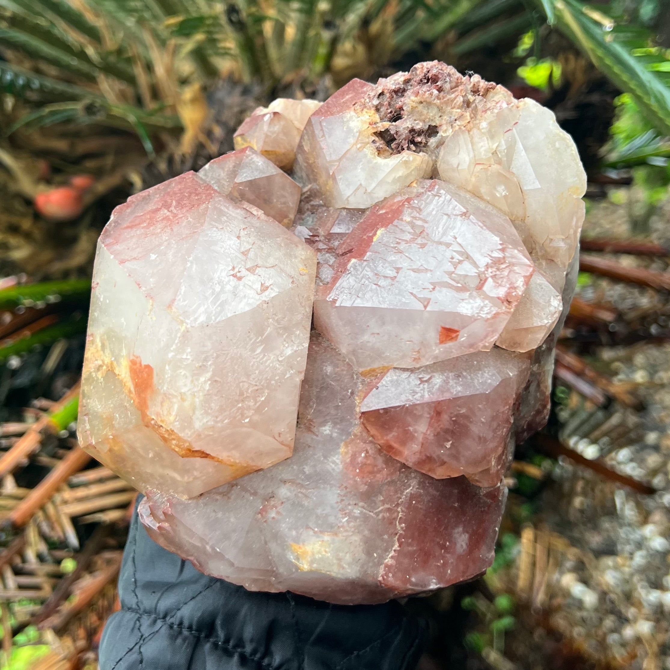 SALE ~ Red Amethyst Cluster