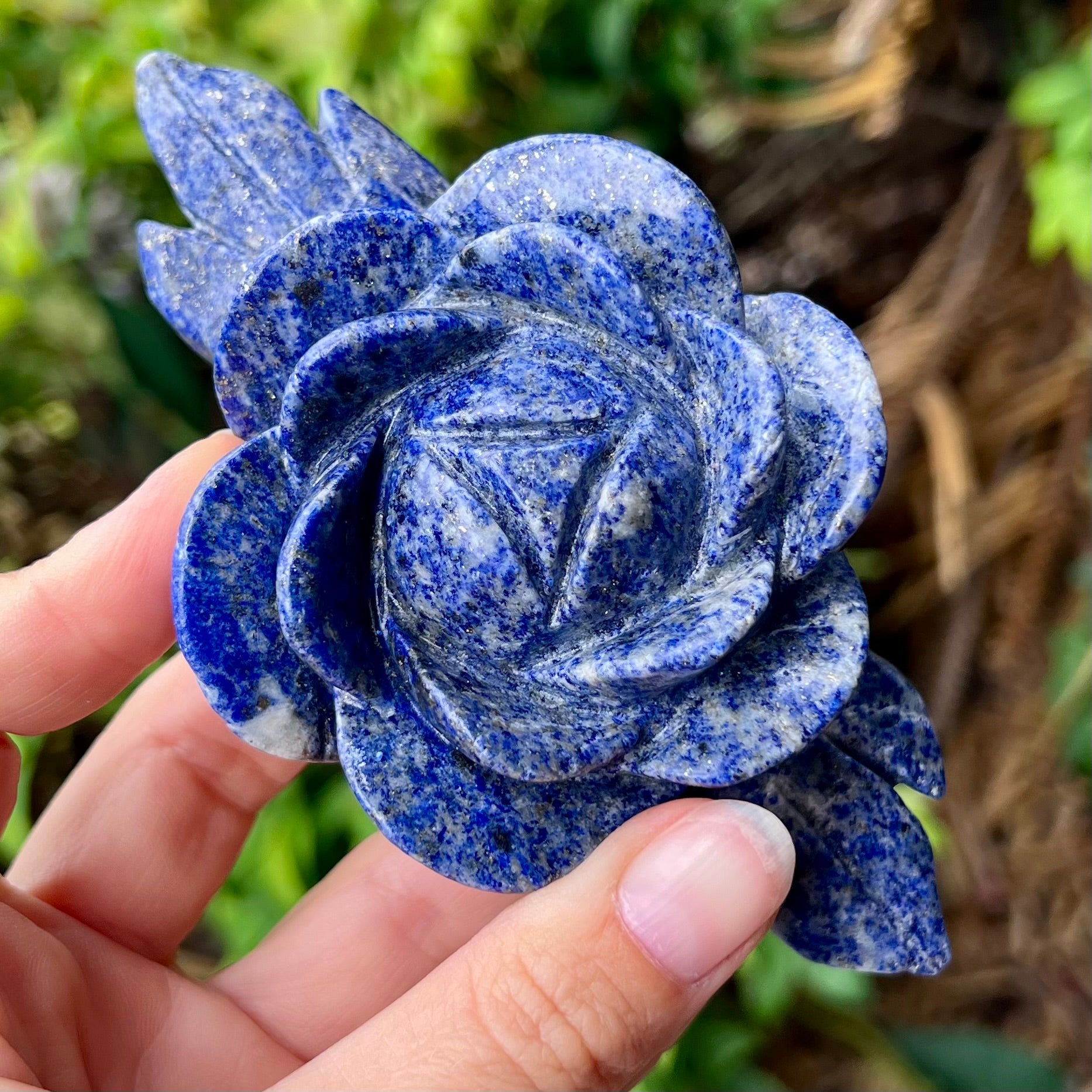 Sodalite Rose Carving