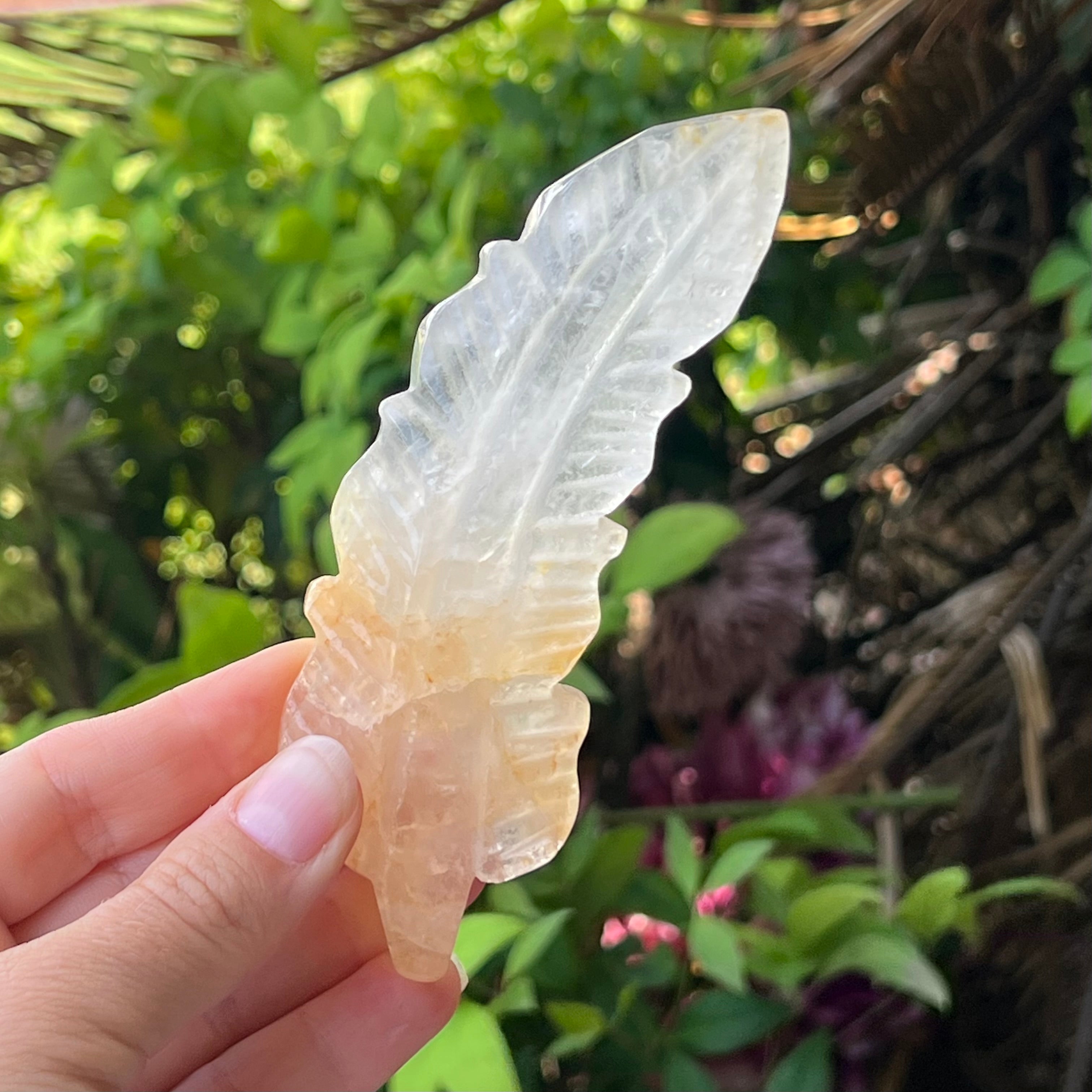 Feather of Divine Healing ~ Golden Healer