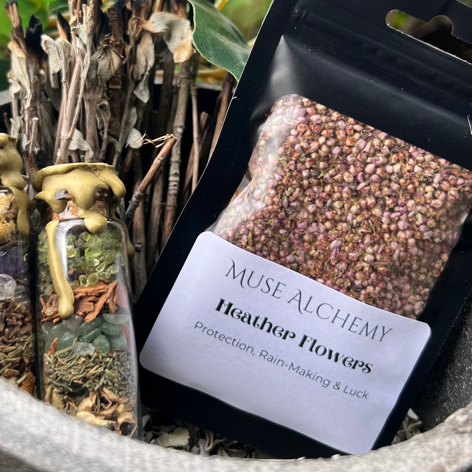 Heather Flowers ~ Muse Alchemy Botanicals