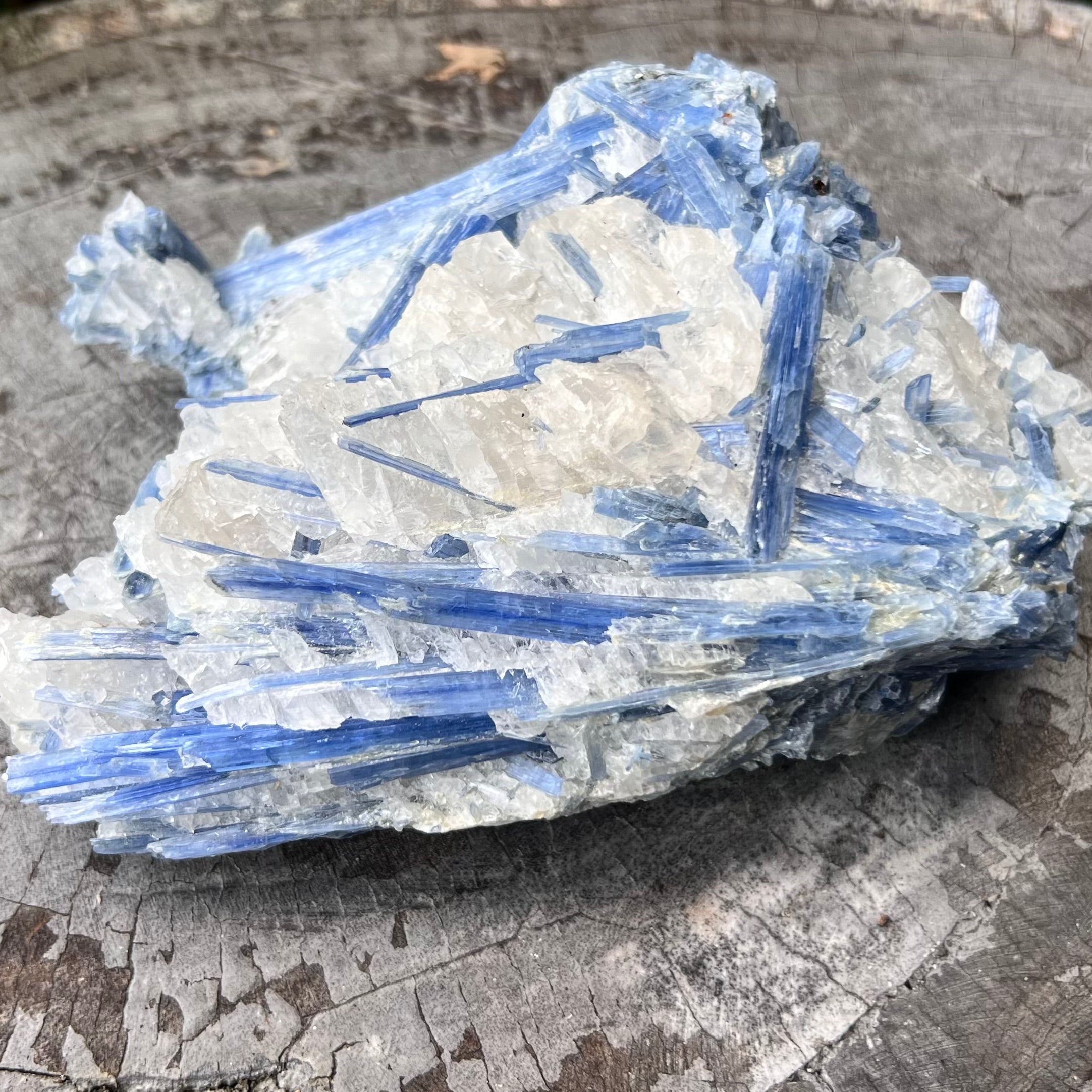 Natural Blue Kyanite with Quartz on Matrix