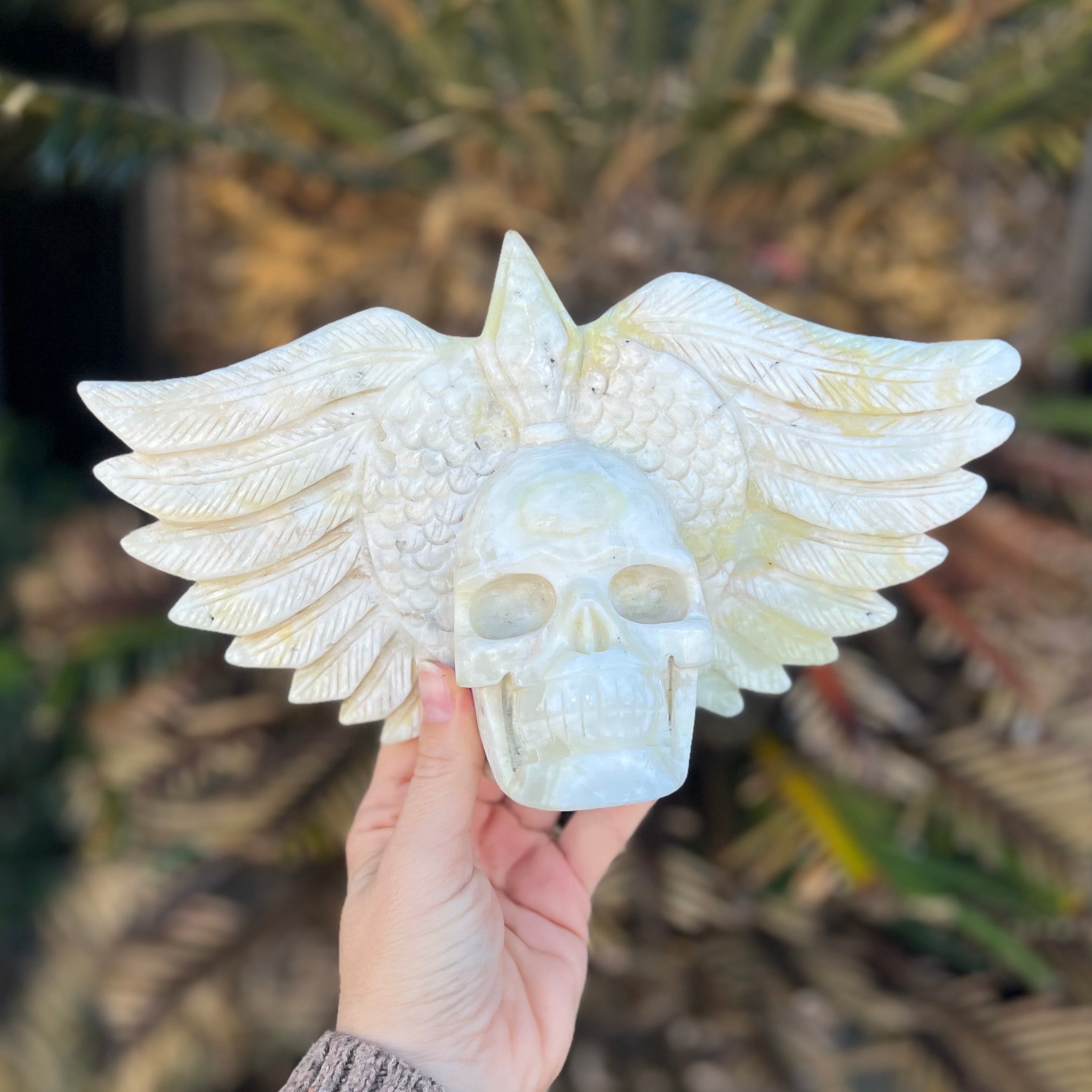 Caribbean Calcite Winged Skull Carving