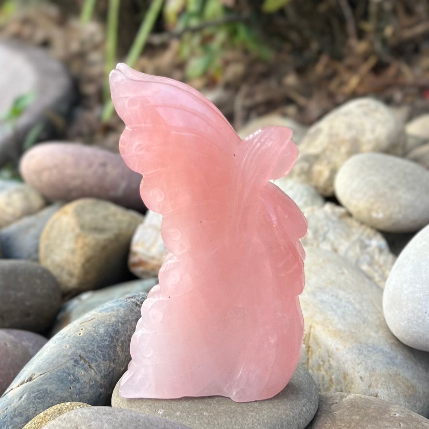 Lady Butterfly ~ Love ~ Rose Quartz