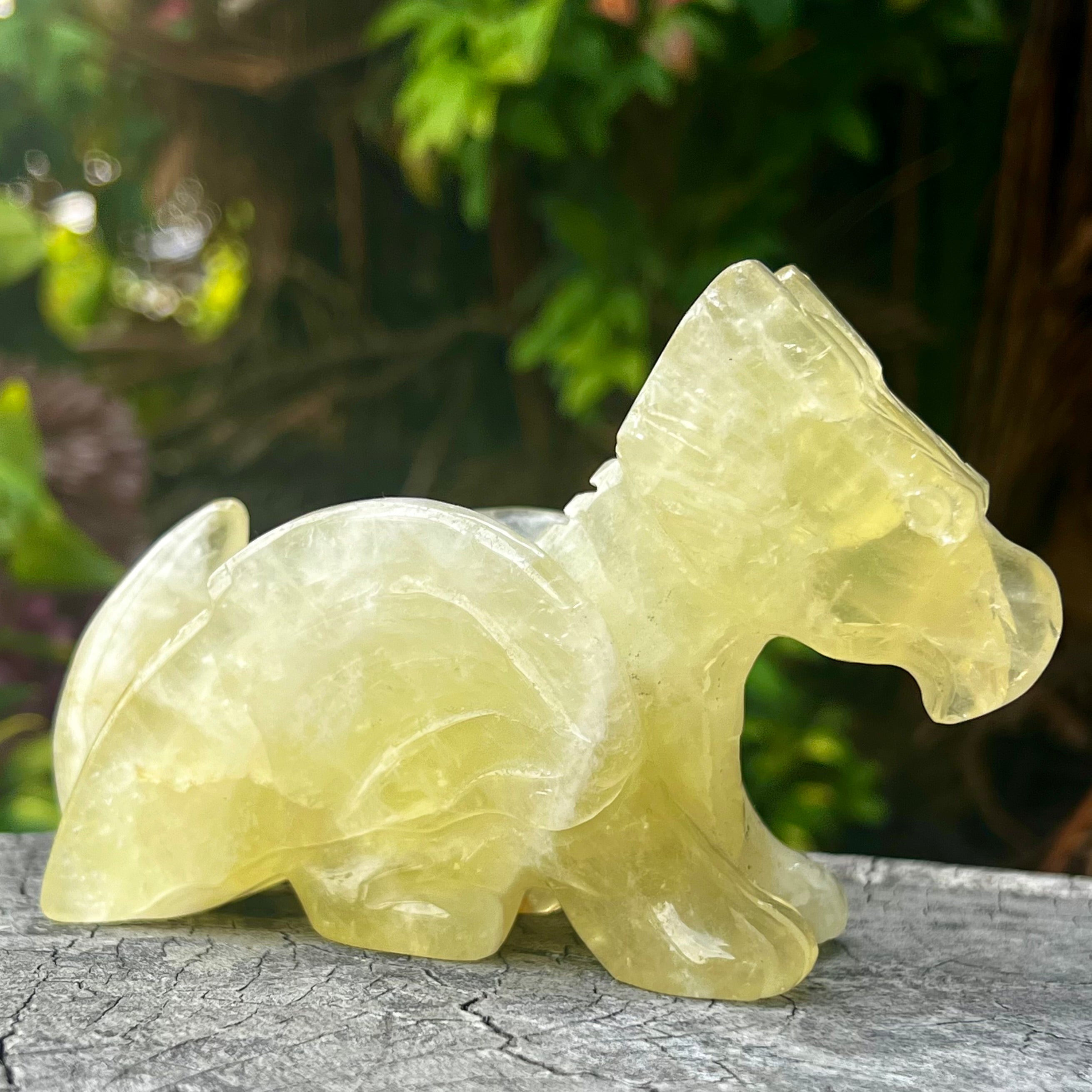 Citrine Dragon Carving