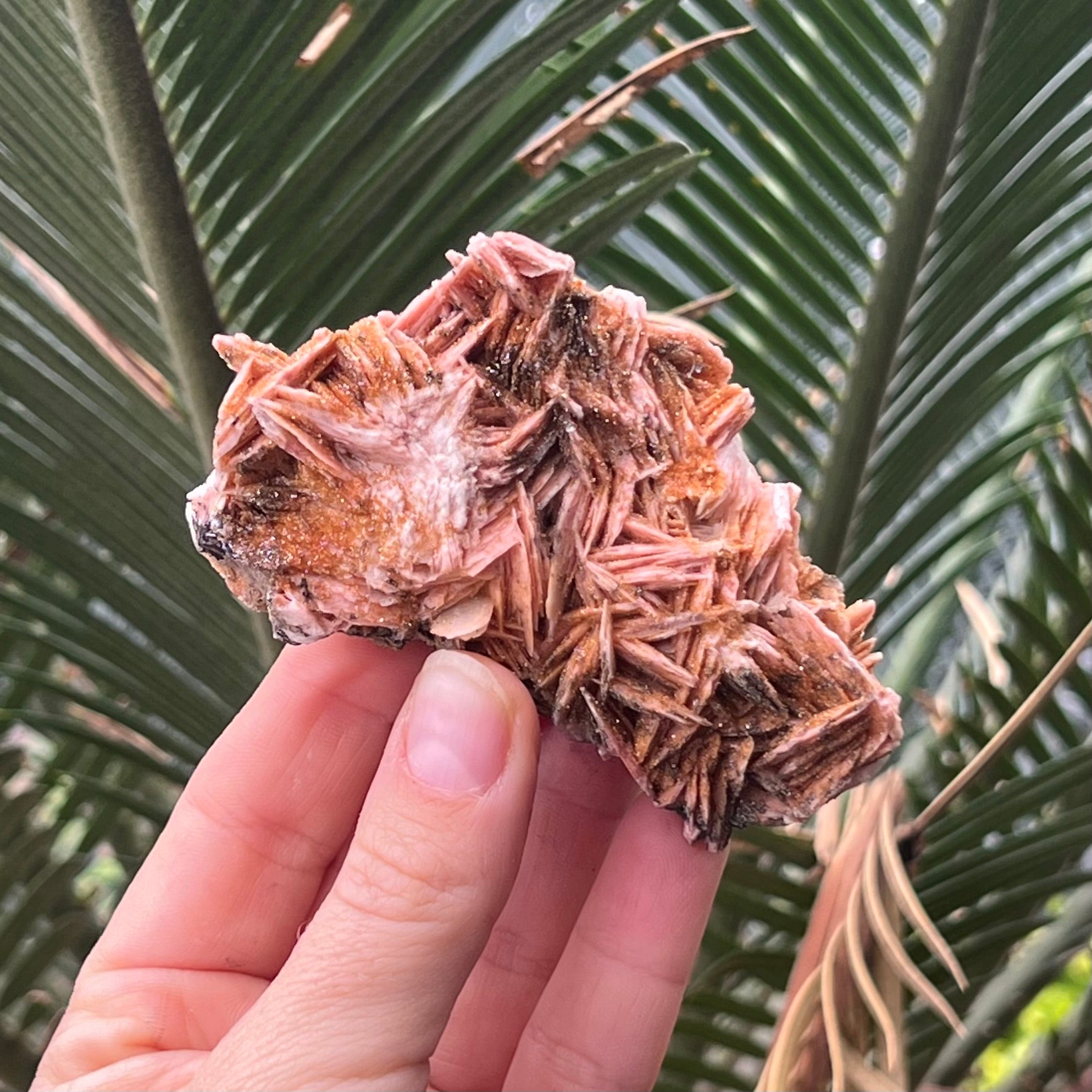 Vanadinite Specialty Specimen