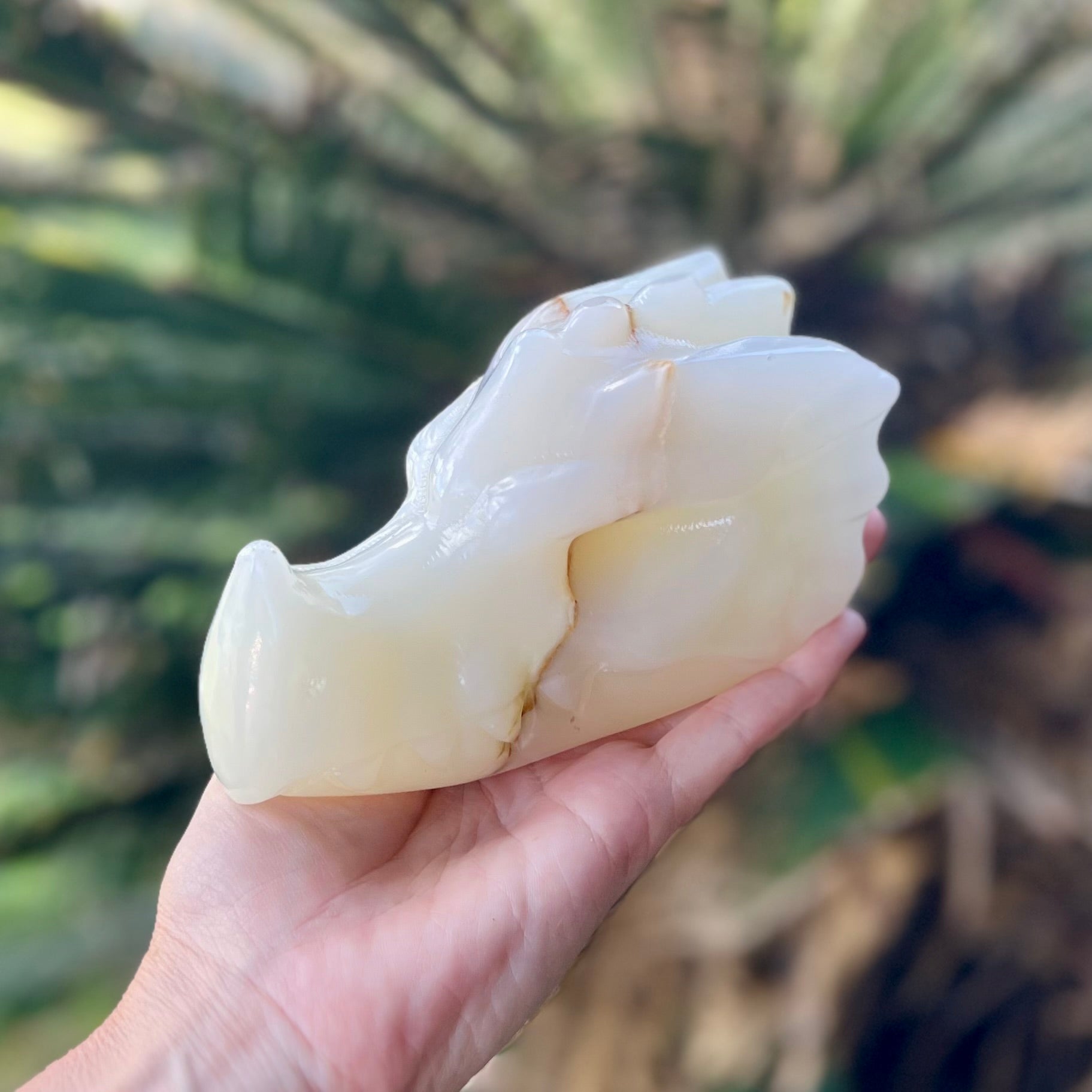 Afghanistan Jade ~ Dragon Head