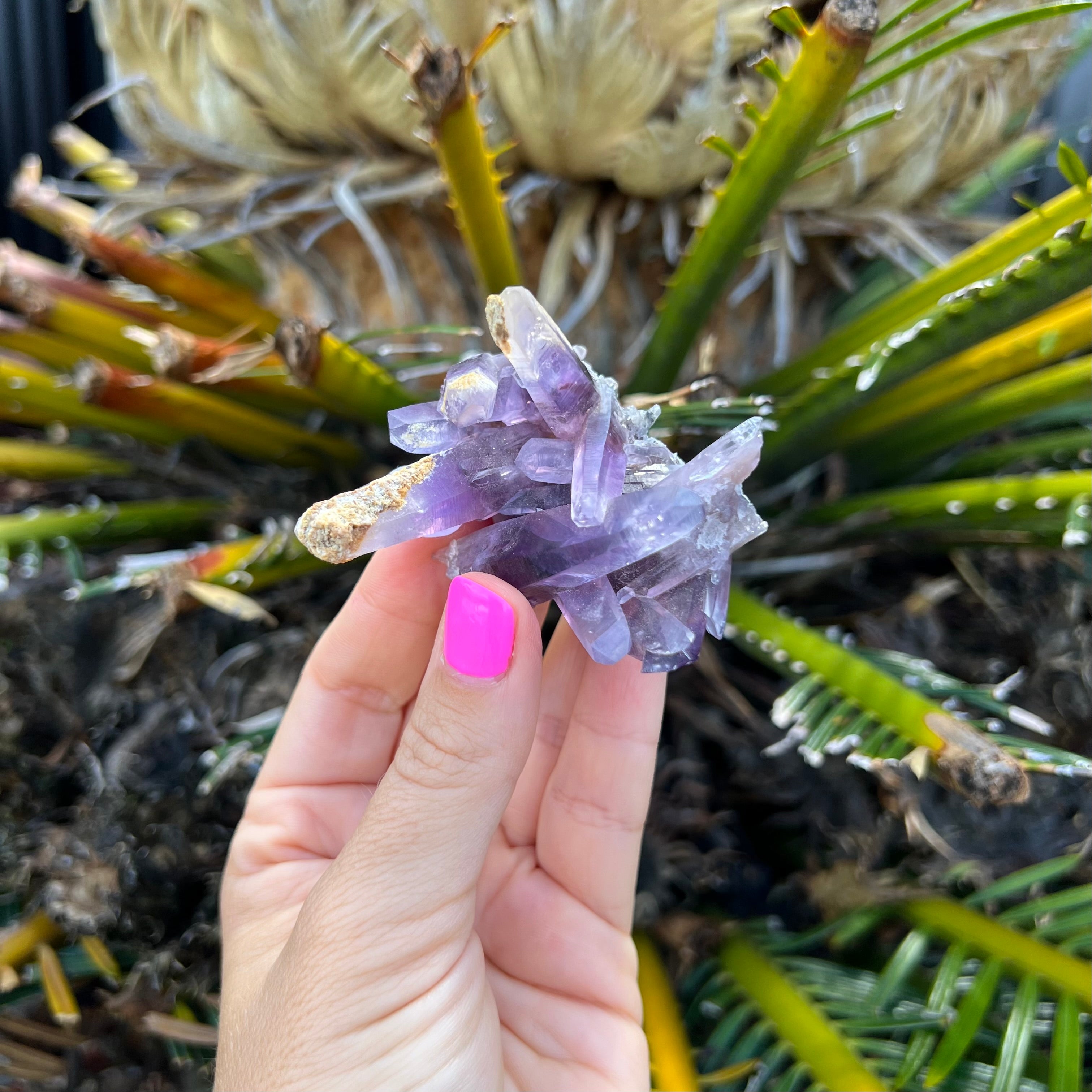 Vera Cruz Amethyst
