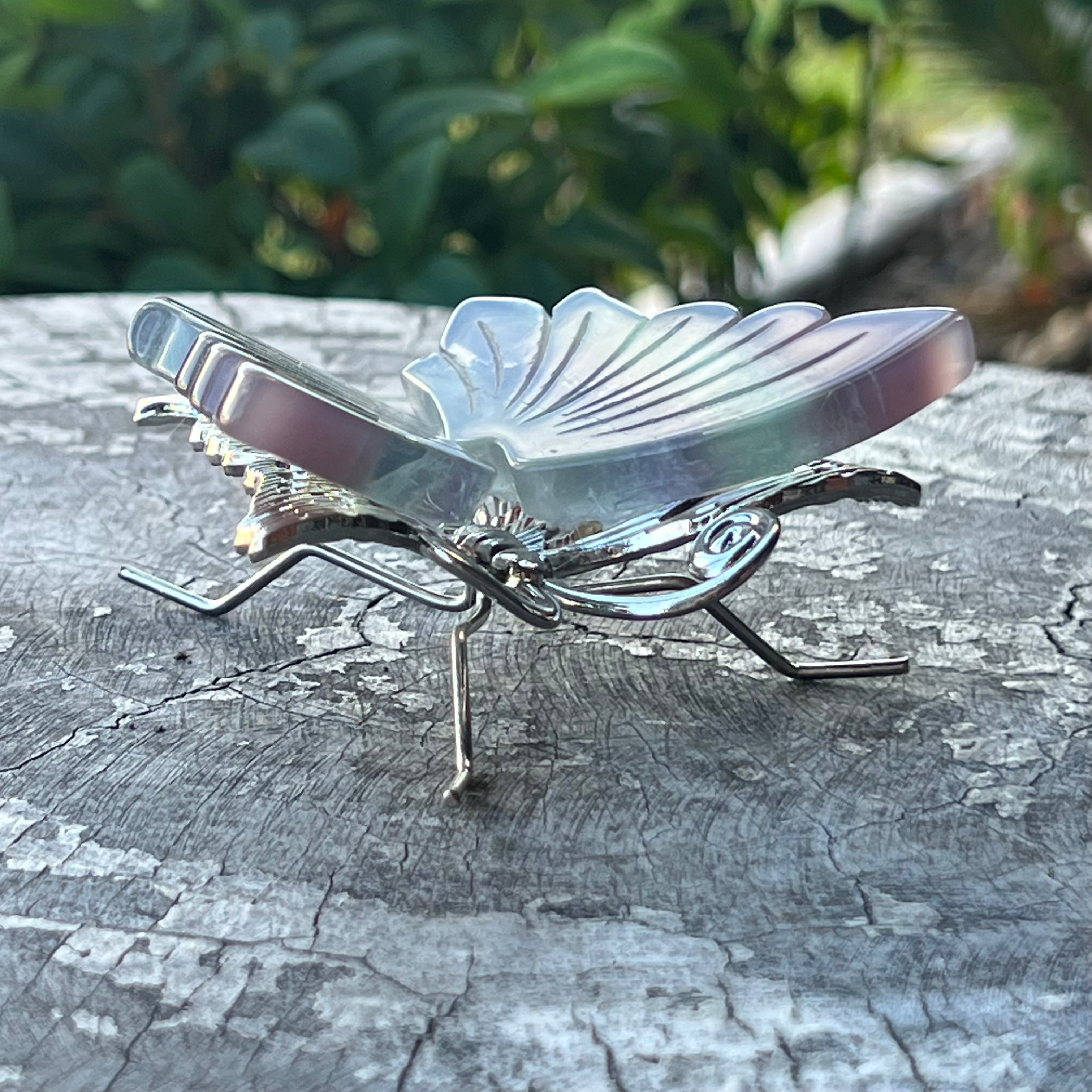 Rainbow Fluorite Butterfly