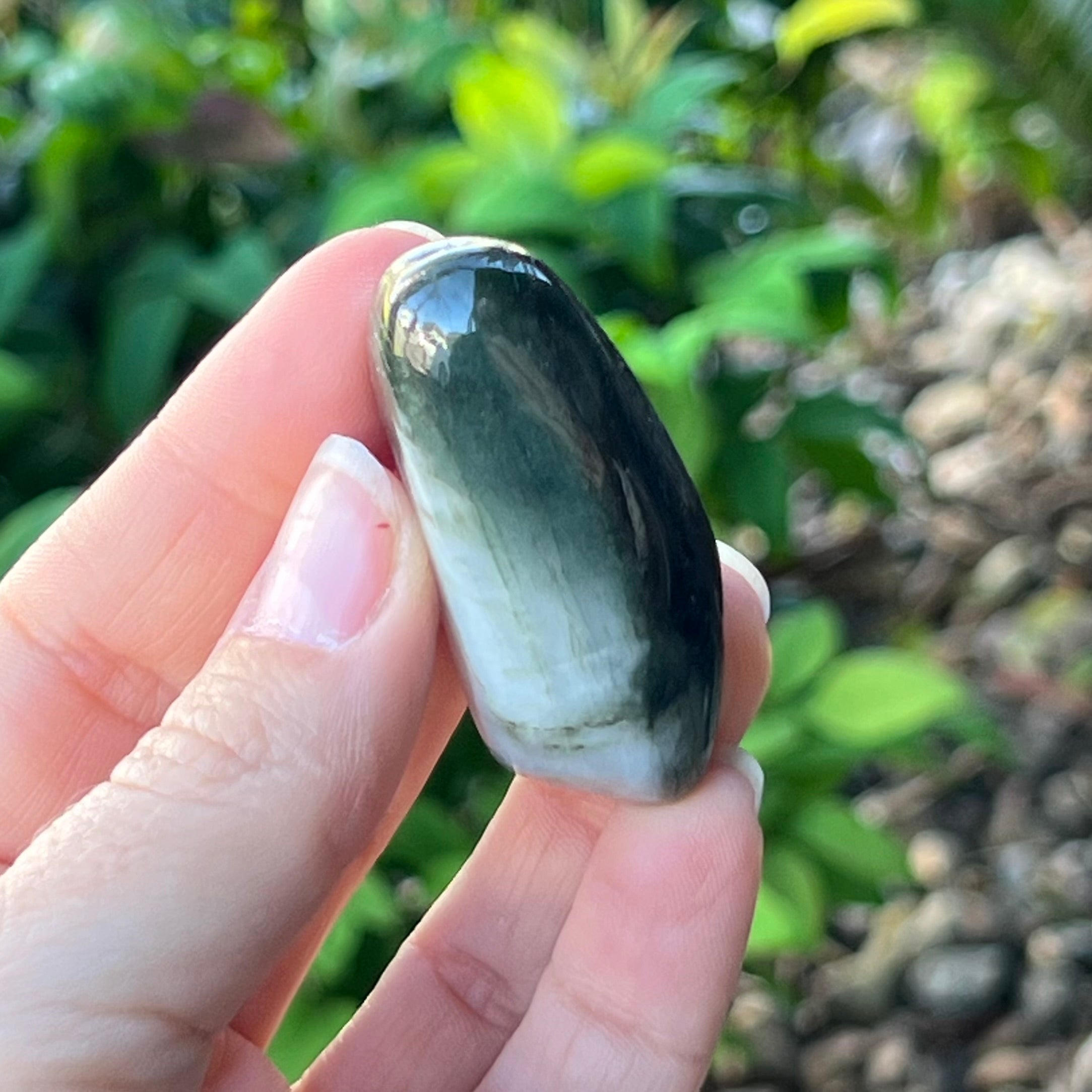 Burma Jade ~ Specialty Boxed Crystal