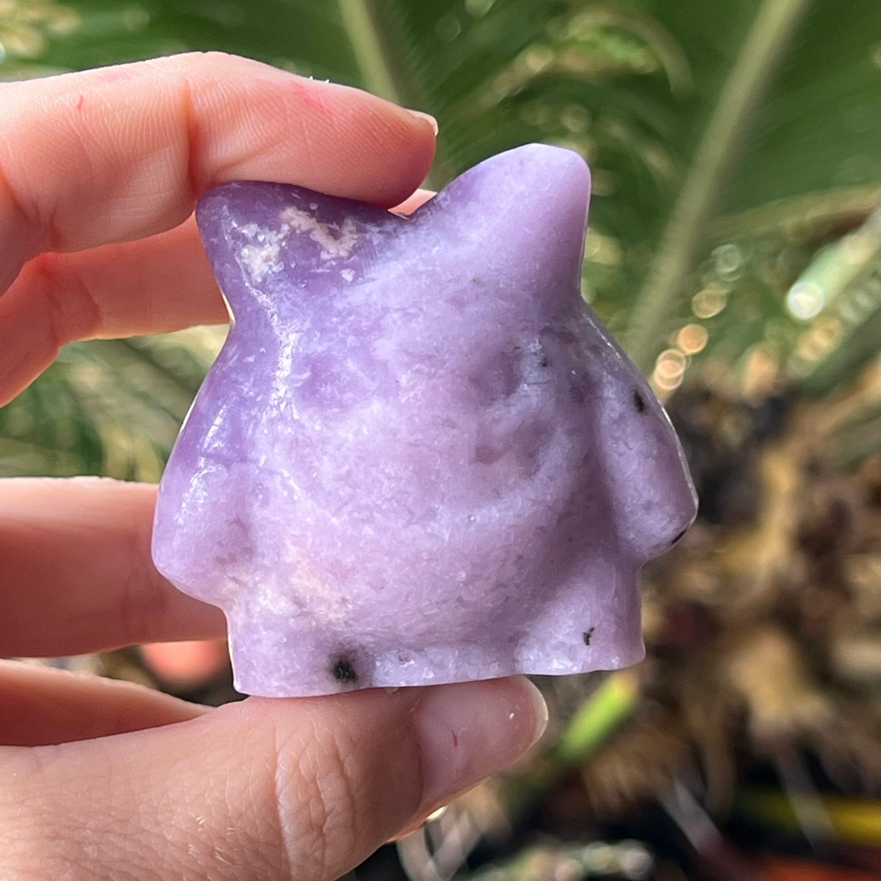 Assorted Pokémon Crystal Set