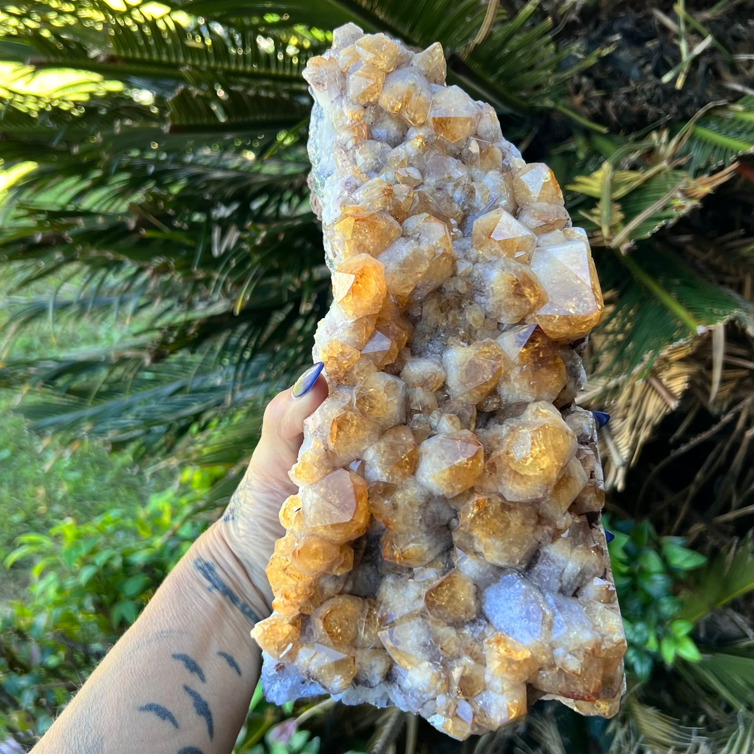 Citrine Raw Standing Cluster
