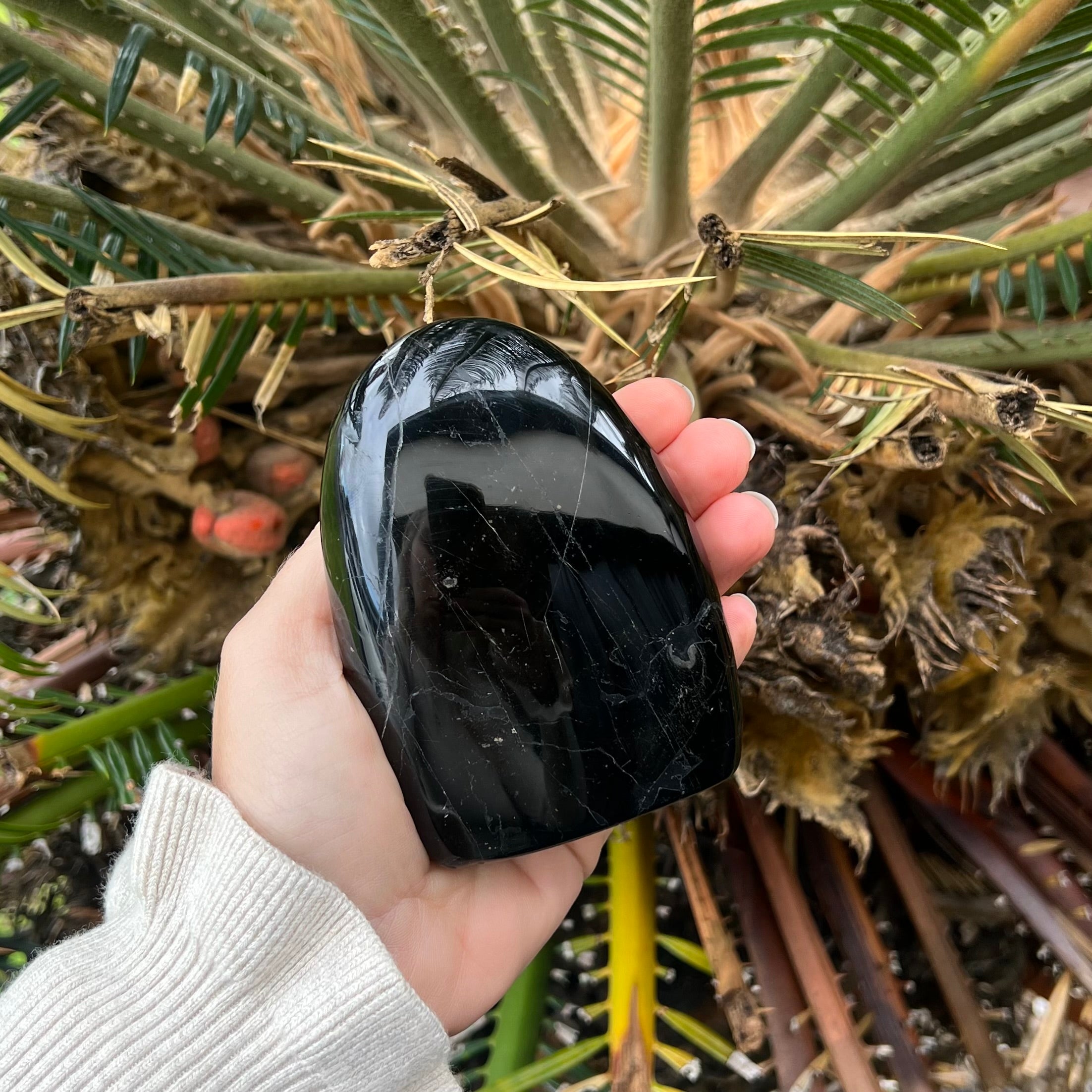 Black Tourmaline Freeform ~ 1