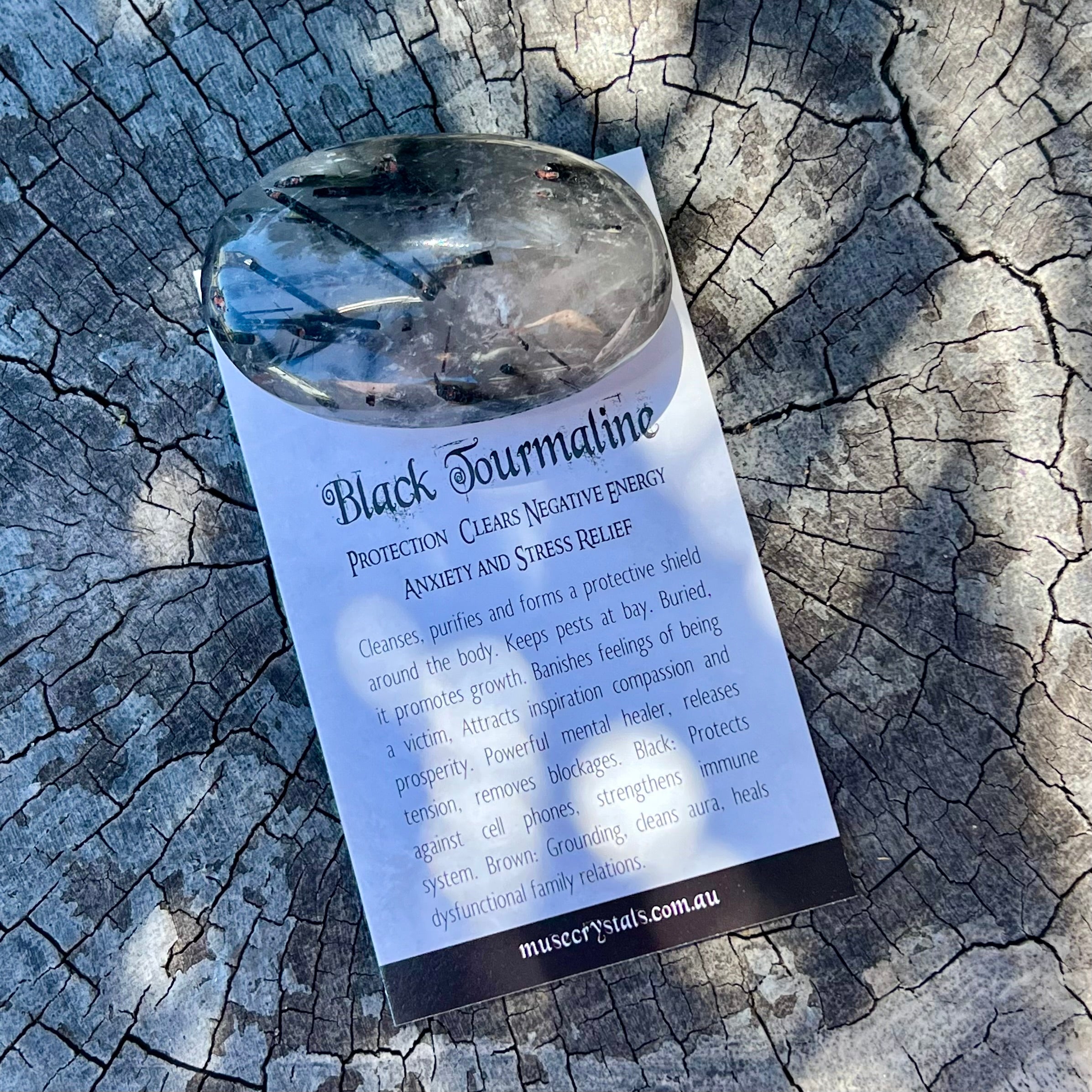 Black Tourmaline in Quartz Palm Stone