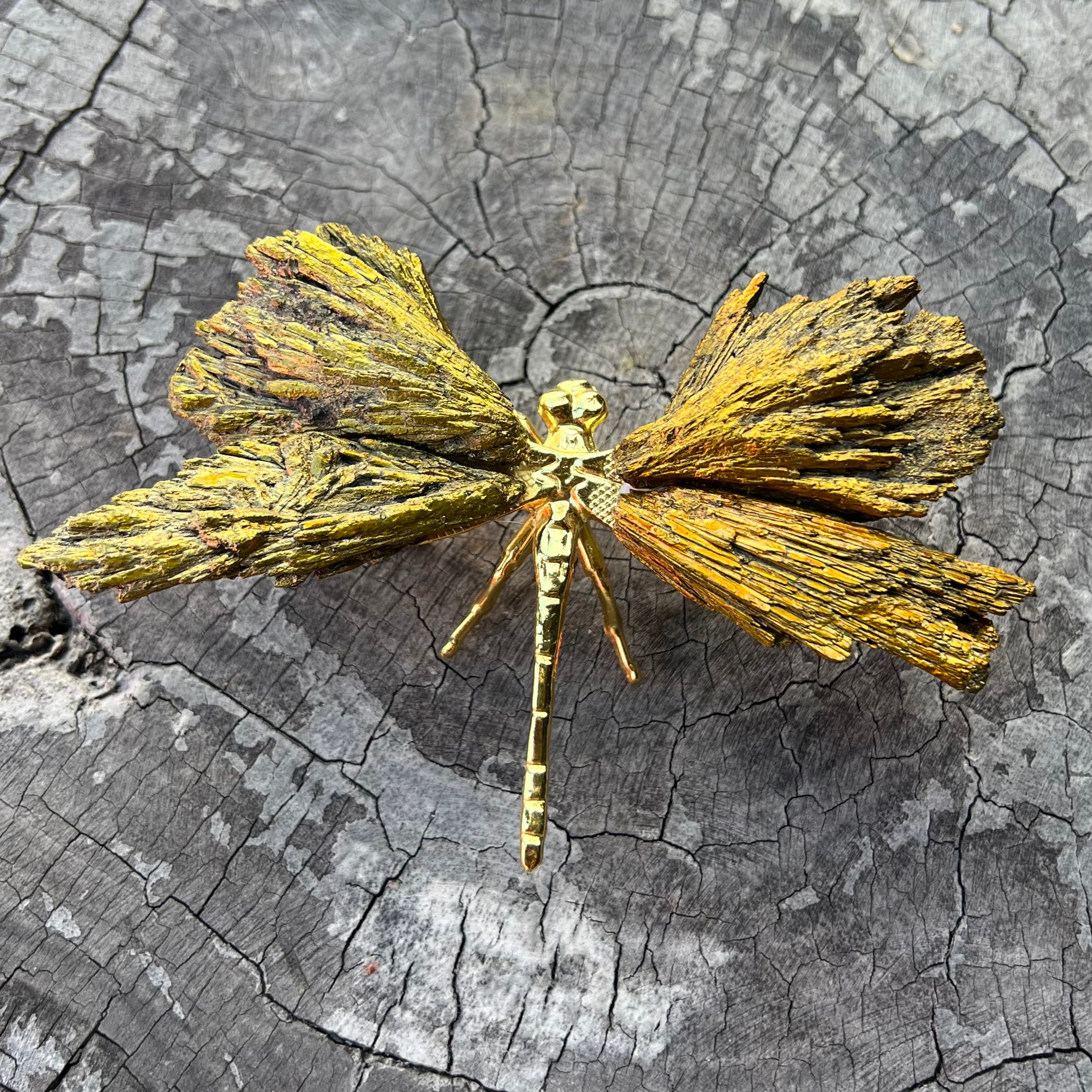Dragonfly ~ Kyanite Electroplate ~ Gold ~ Large