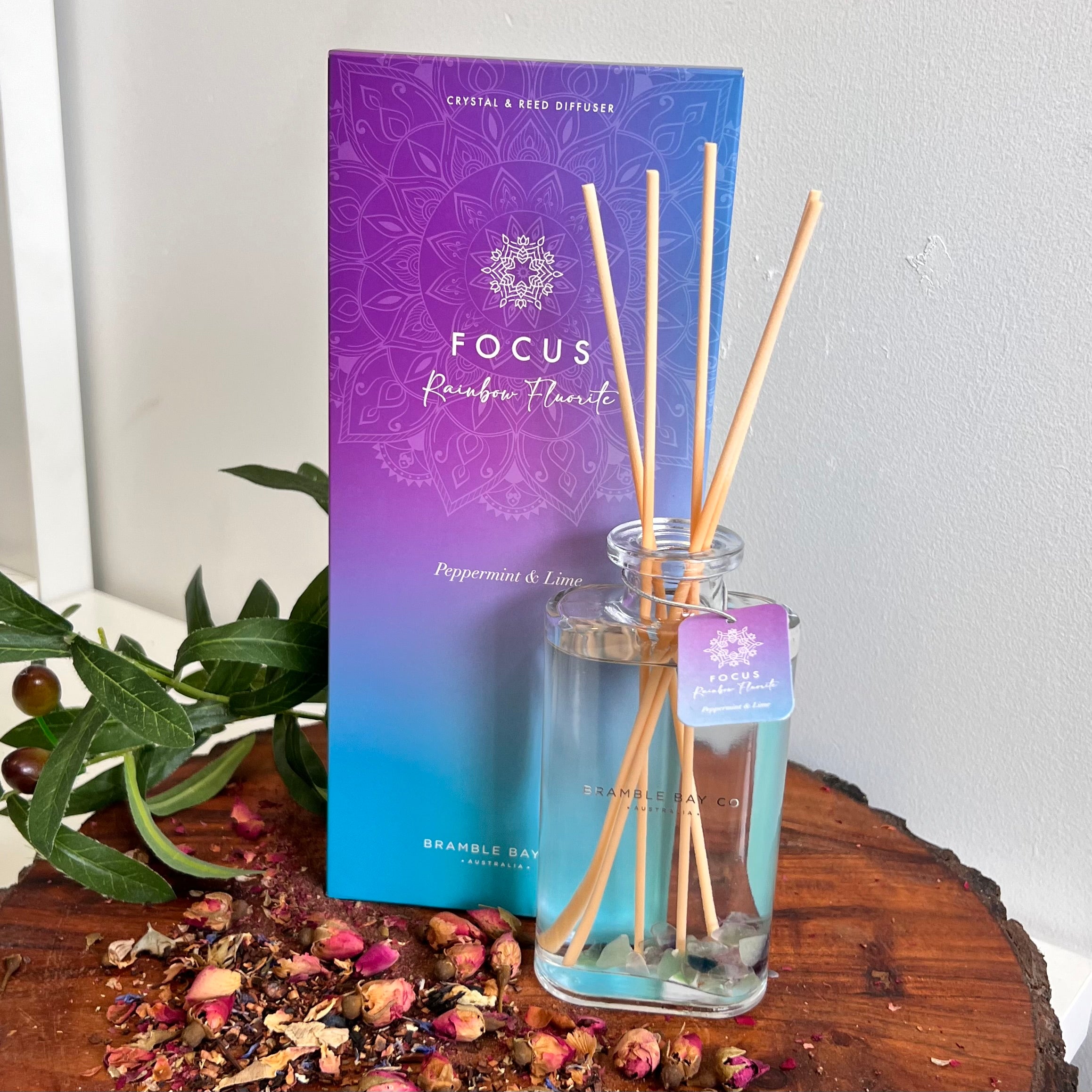 Boho Crystal Focus Reed Diffuser ~
Rainbow Fluorite ~ 
Peppermint & Lime