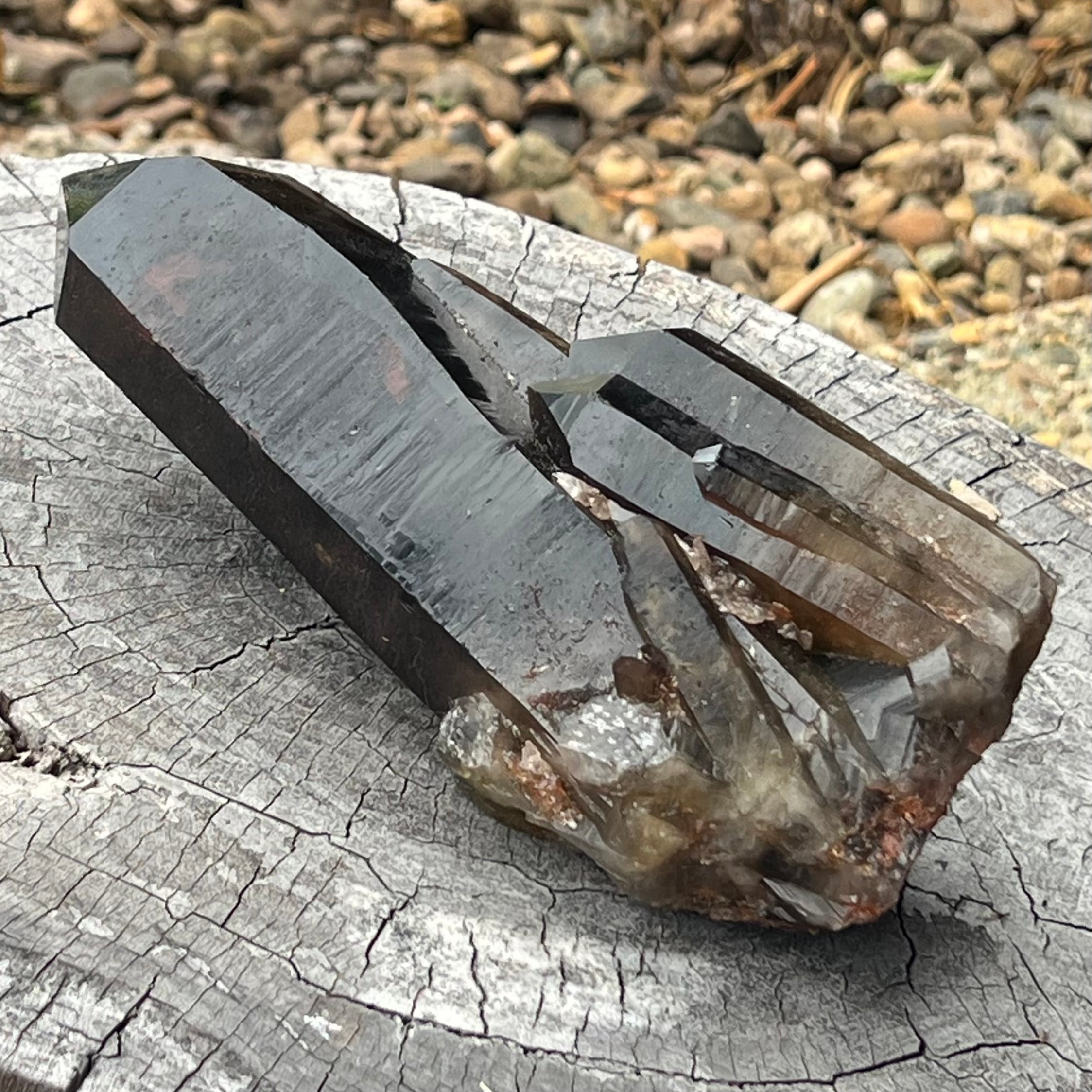 Smoky Quartz ~ Natural Point Cluster