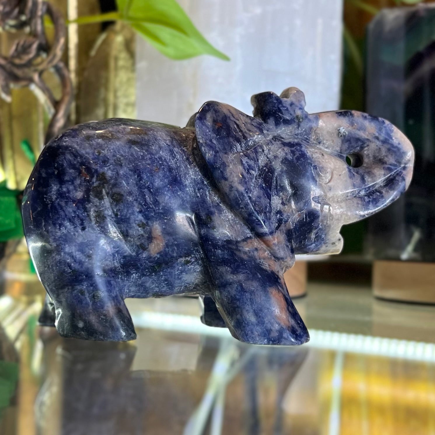 Lucky Elephant ~ Sodalite