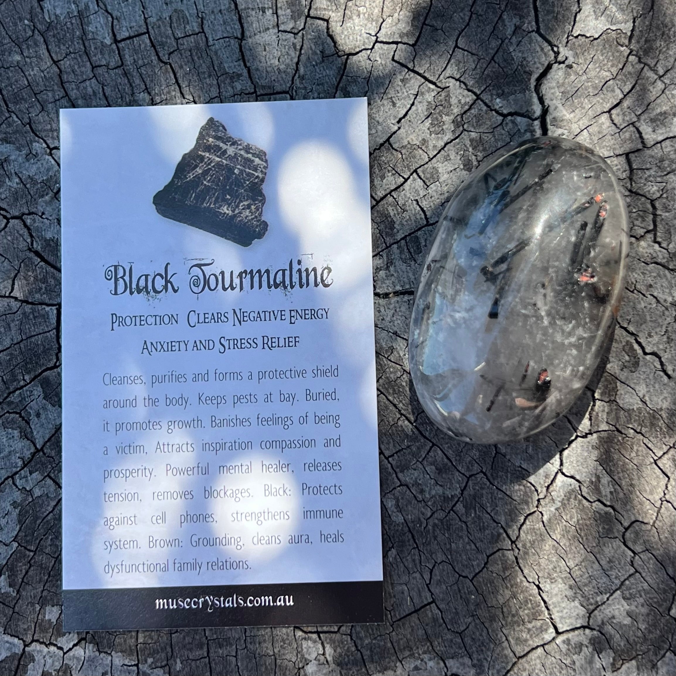 Black Tourmaline in Quartz Palm Stone