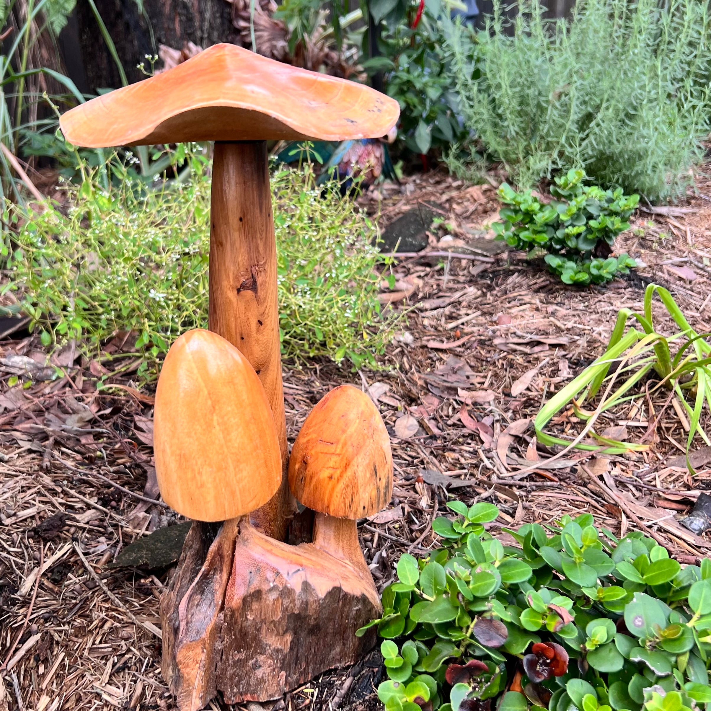 Mushroom Trio ~ Wood Carving