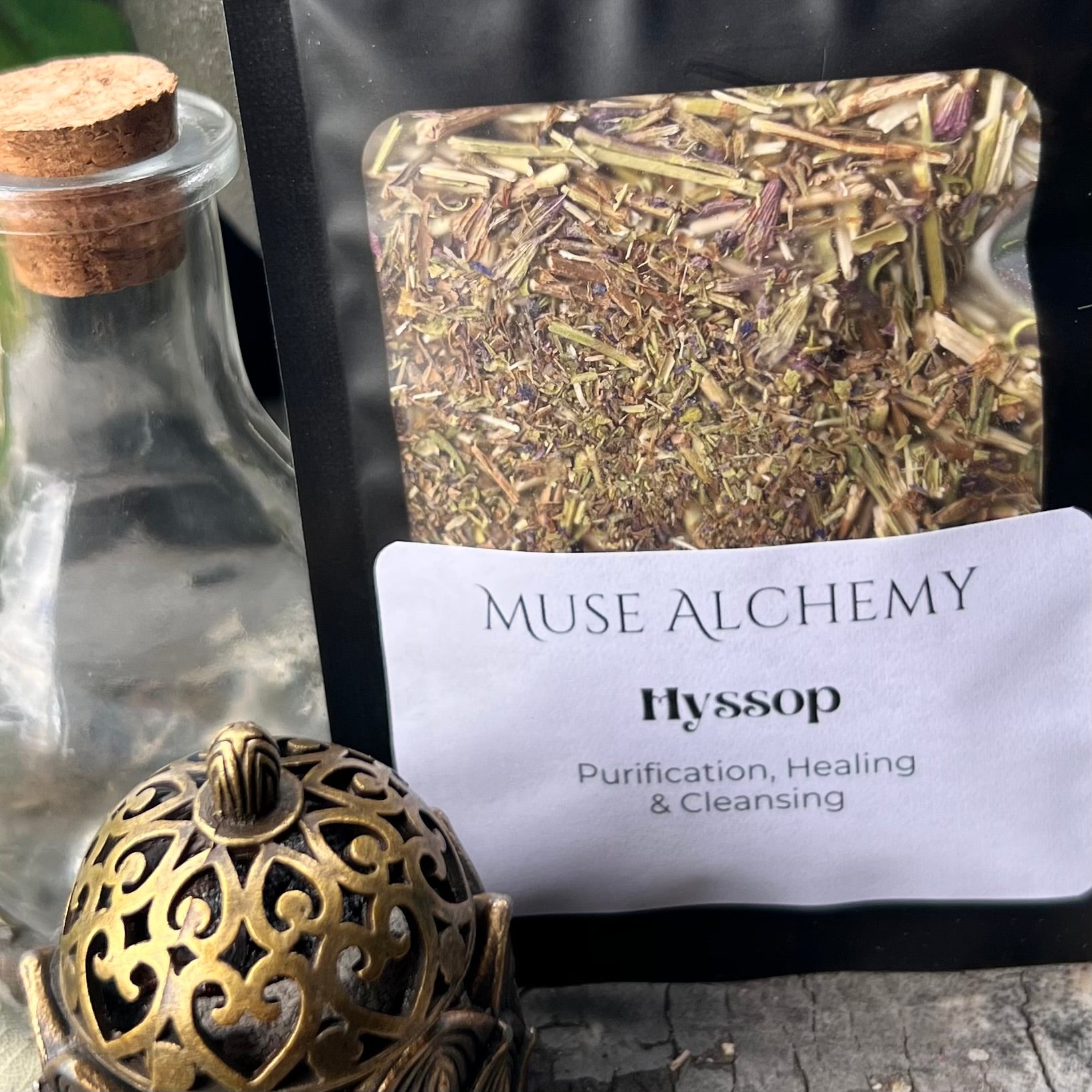 Hyssop ~ Muse Alchemy Botanicals