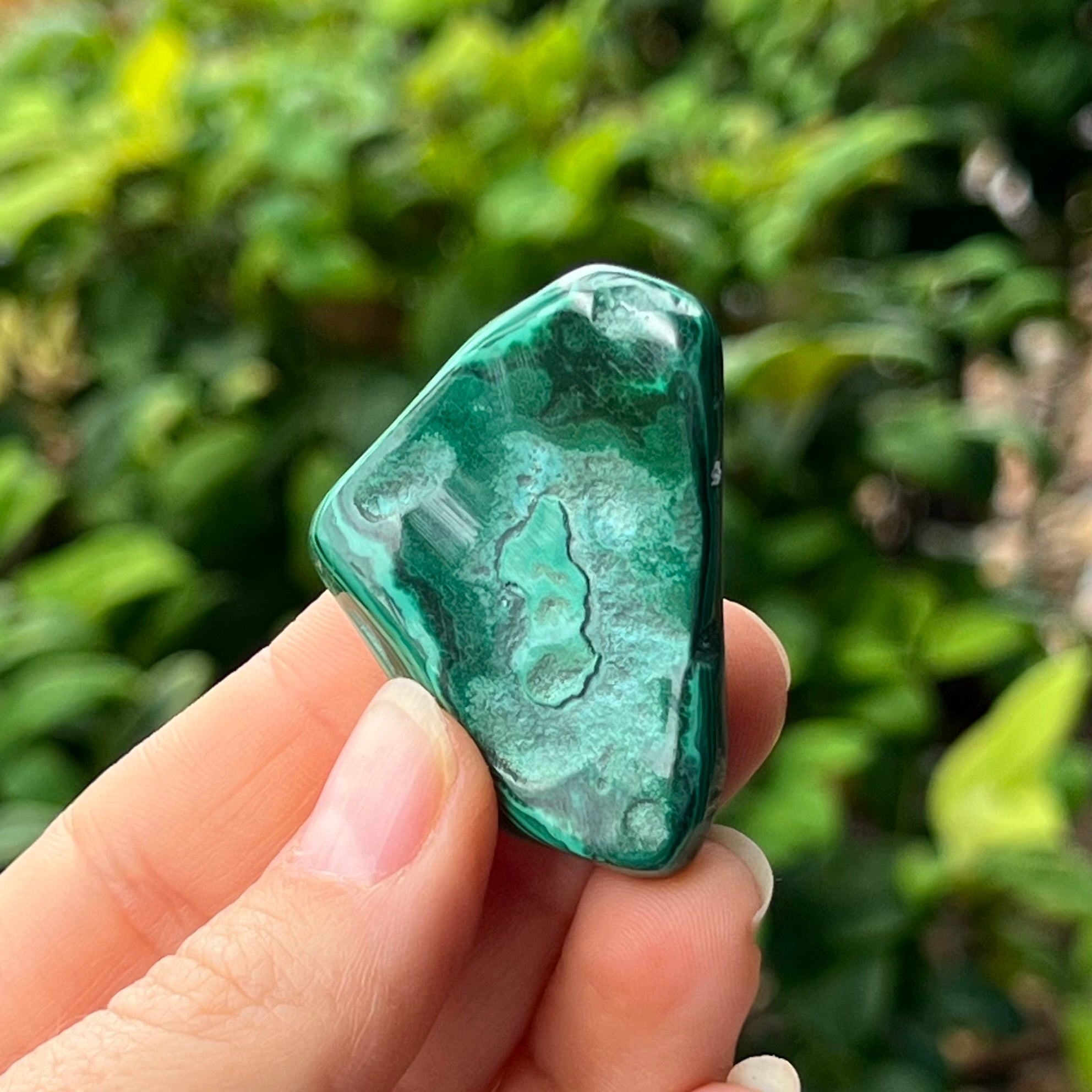 Malachite ~ Specialty Boxed Crystal