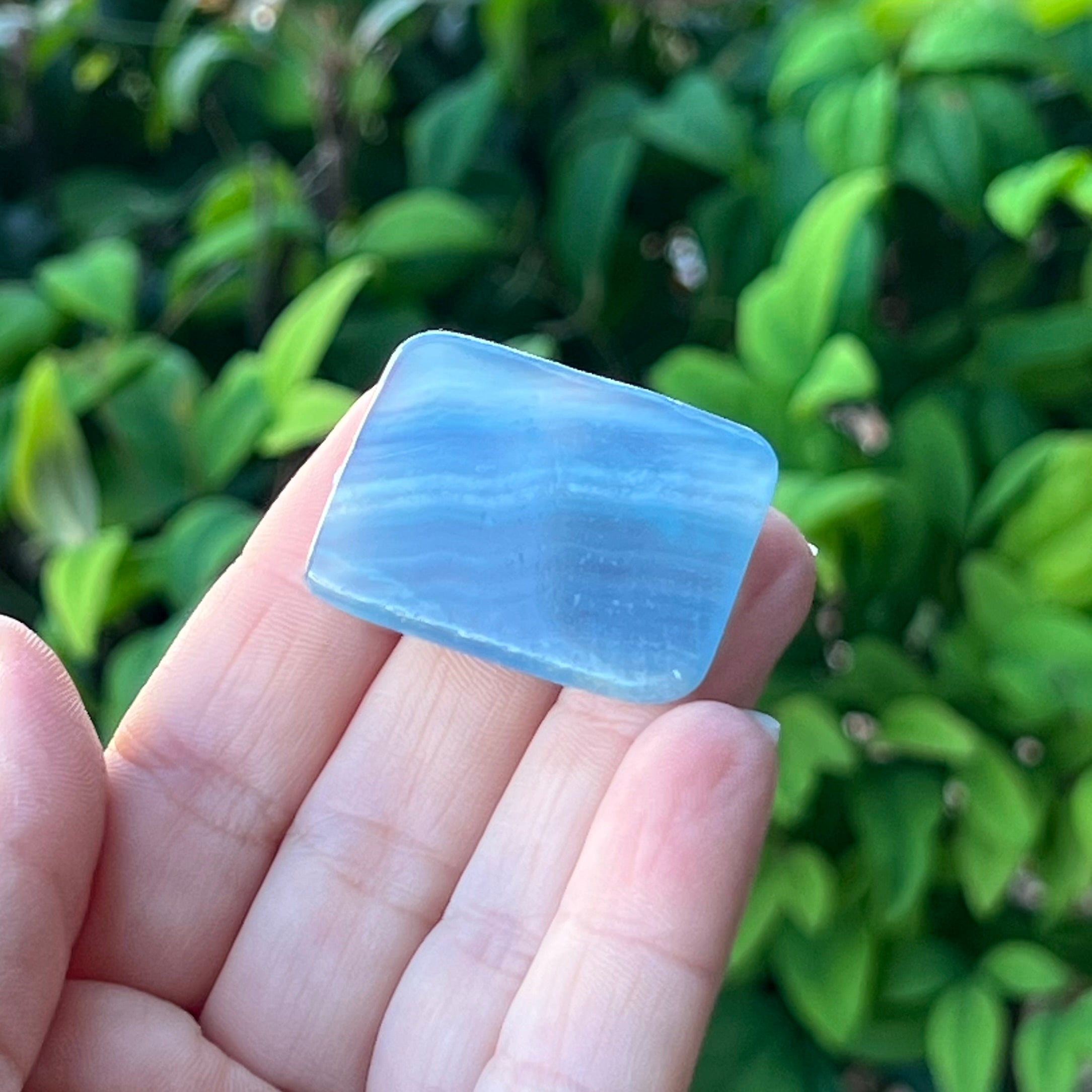 Lemurian Aquatine Calcite~ Specialty Boxed Crystal