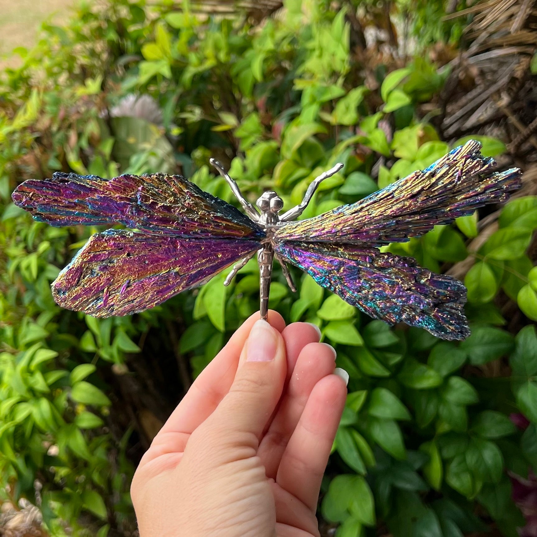 Dragonfly ~ Kyanite Electroplate ~ Rainbow ~ Large