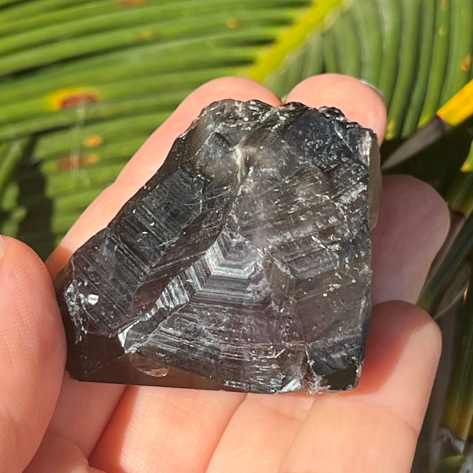 Amethyst ~ Smokey Quartz ~ Citrine ~ Raw Record Keeper