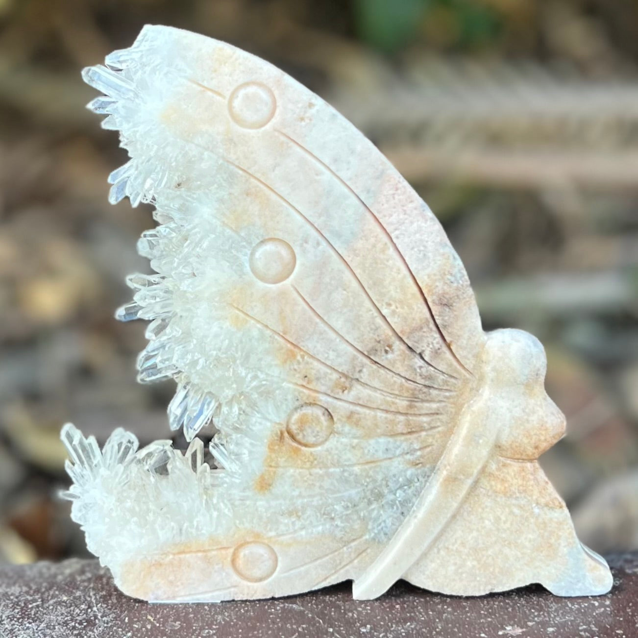 Clear Quartz Butterfly Carving (2)