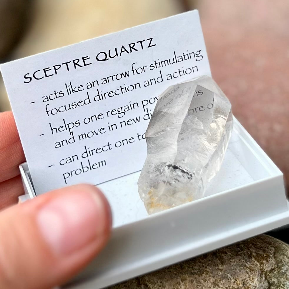 Sceptre Quartz~ Specialty Boxed Crystal