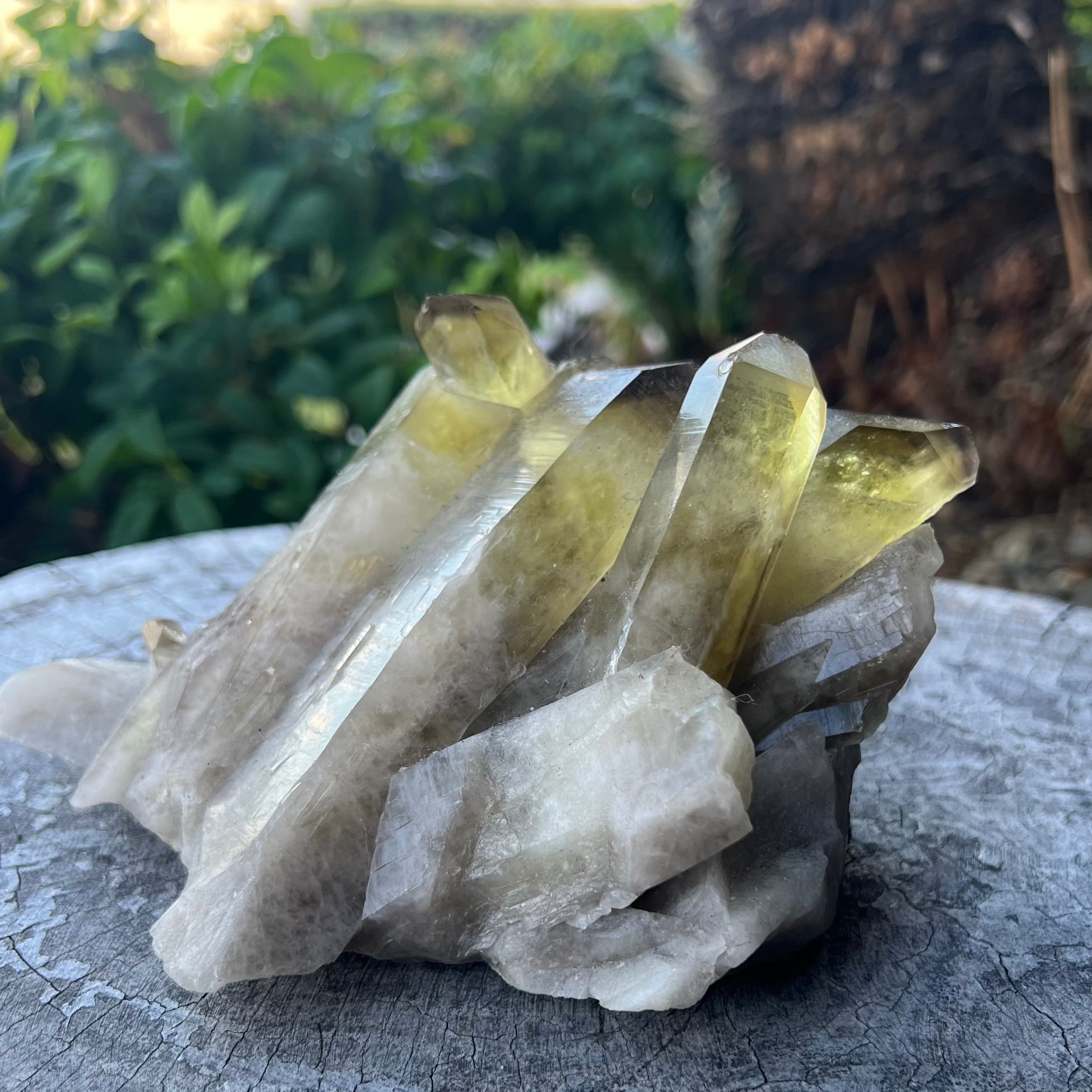 Smoky Citrine Natural Raw Cluster