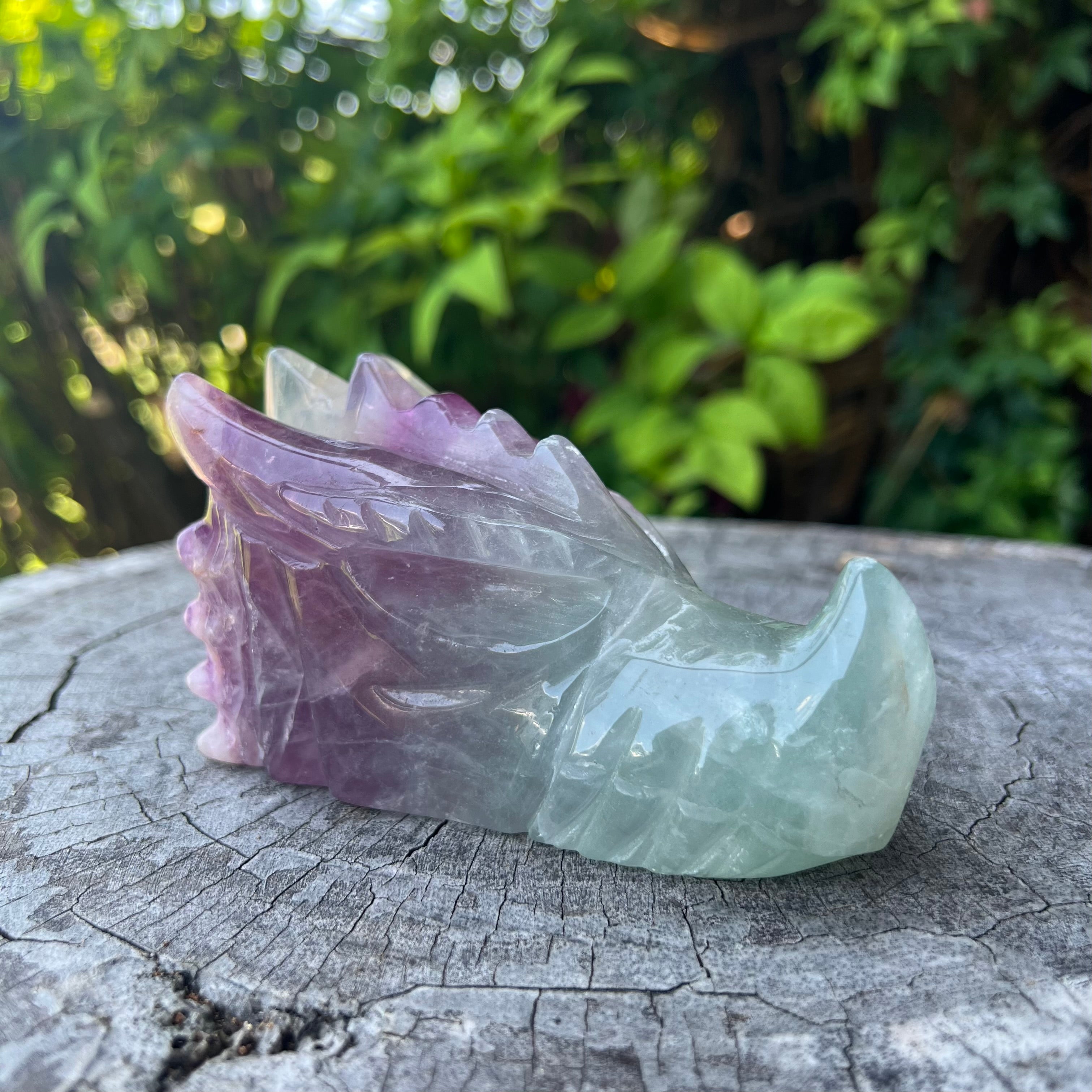 Rainbow Fluorite Dragon Head Carving