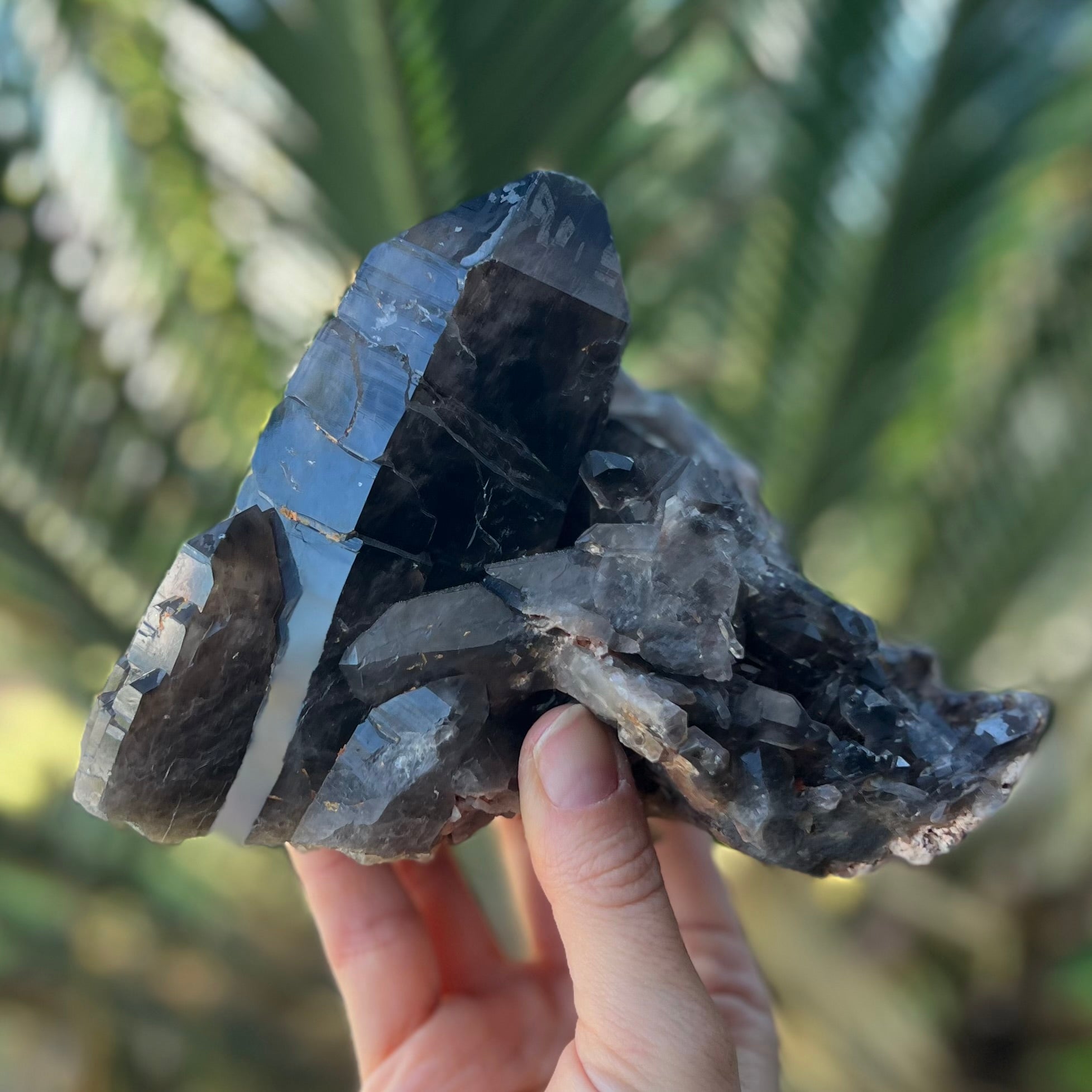 Specular Smokey Quartz Cluster