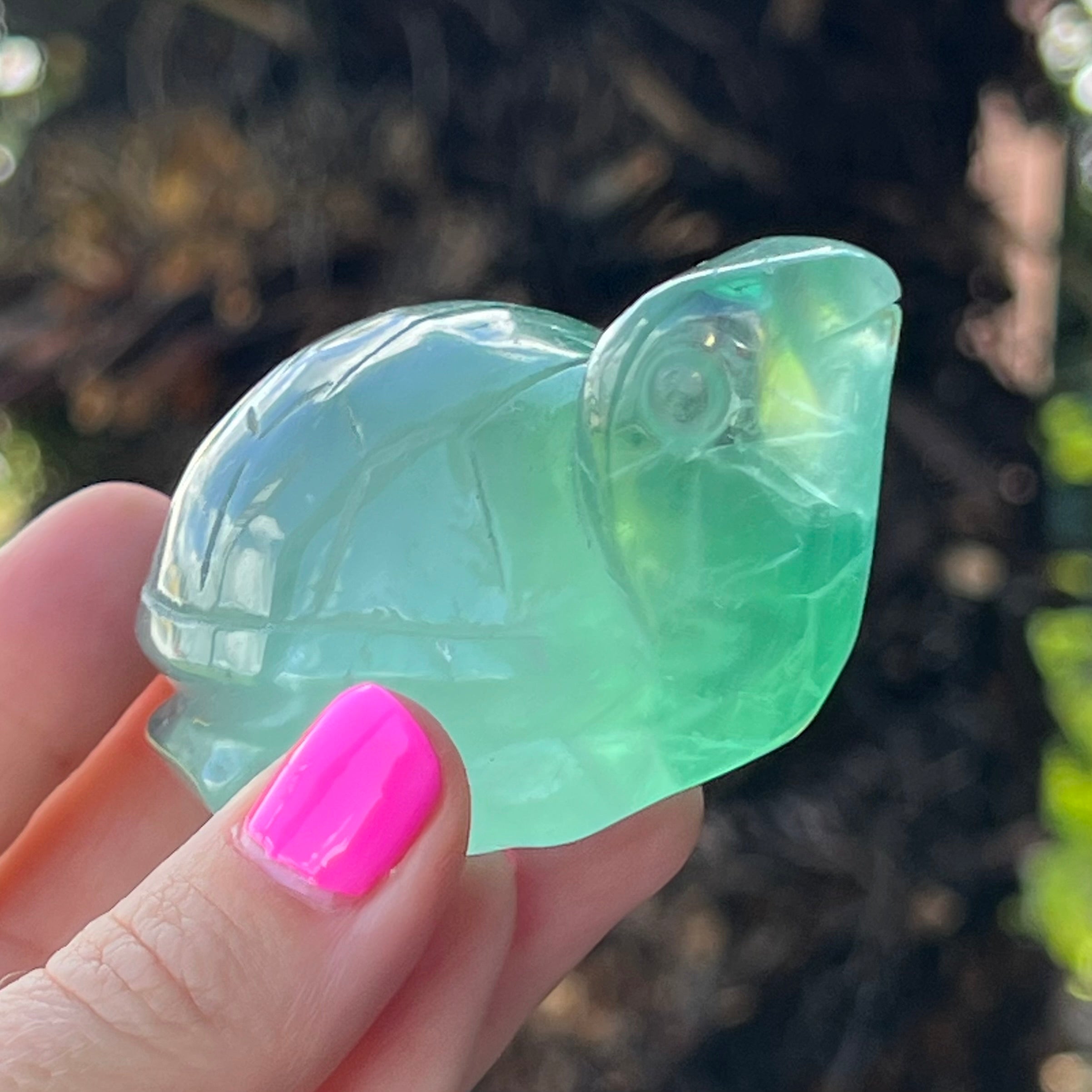 Green Fluorite ~ Turtle Carving