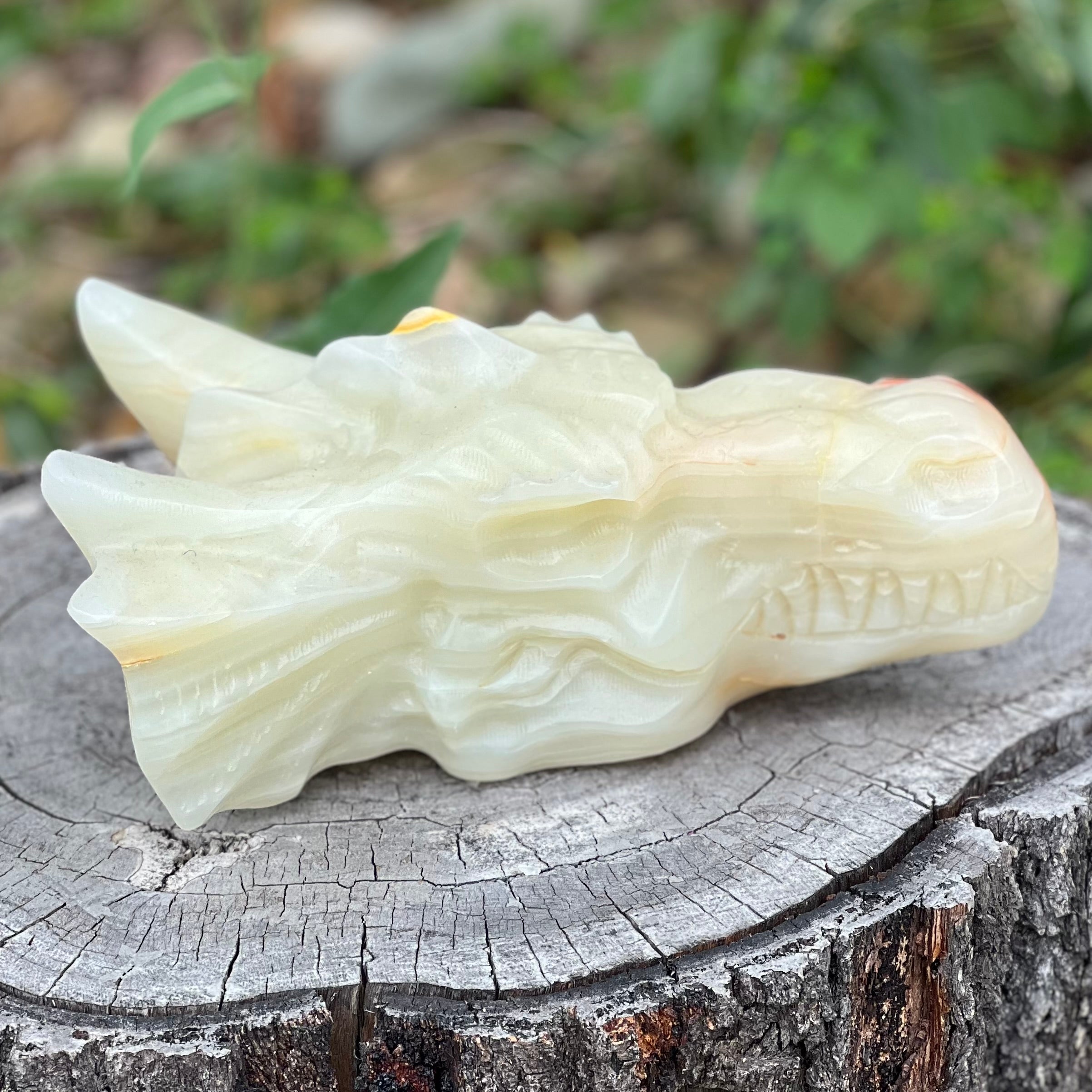 Afghanistan Jade Dragon Head Carving