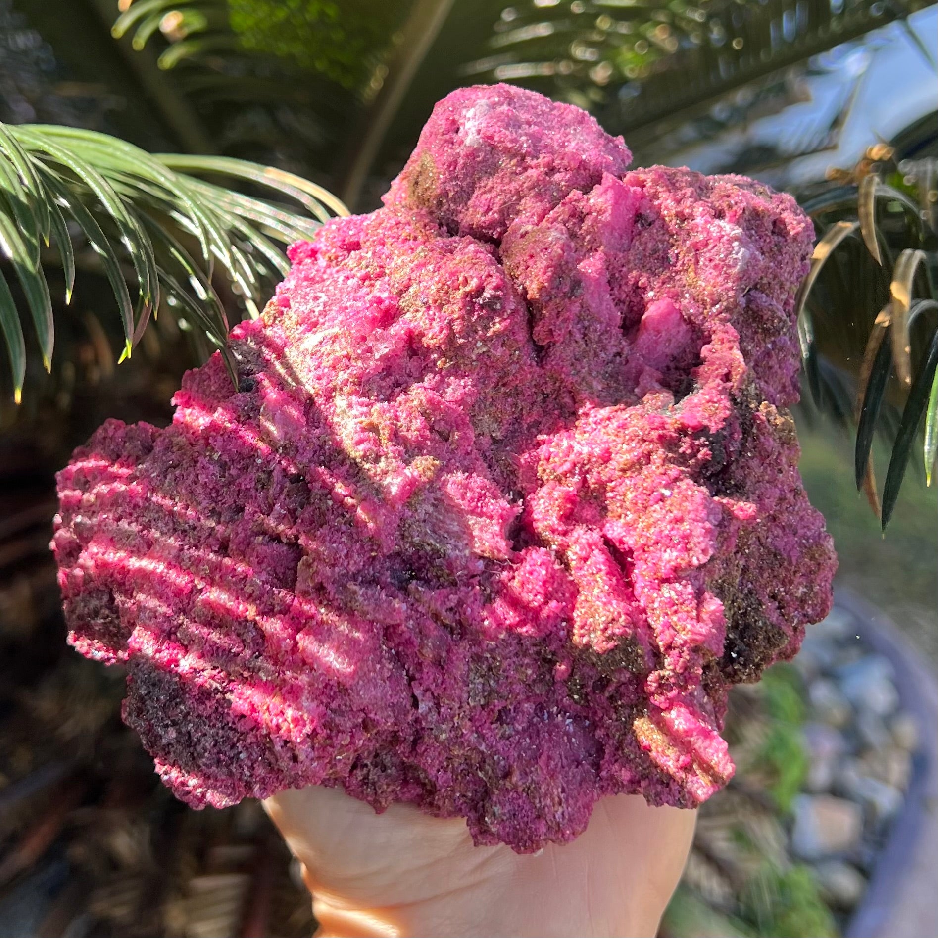 Natural Ruby with Pyrite