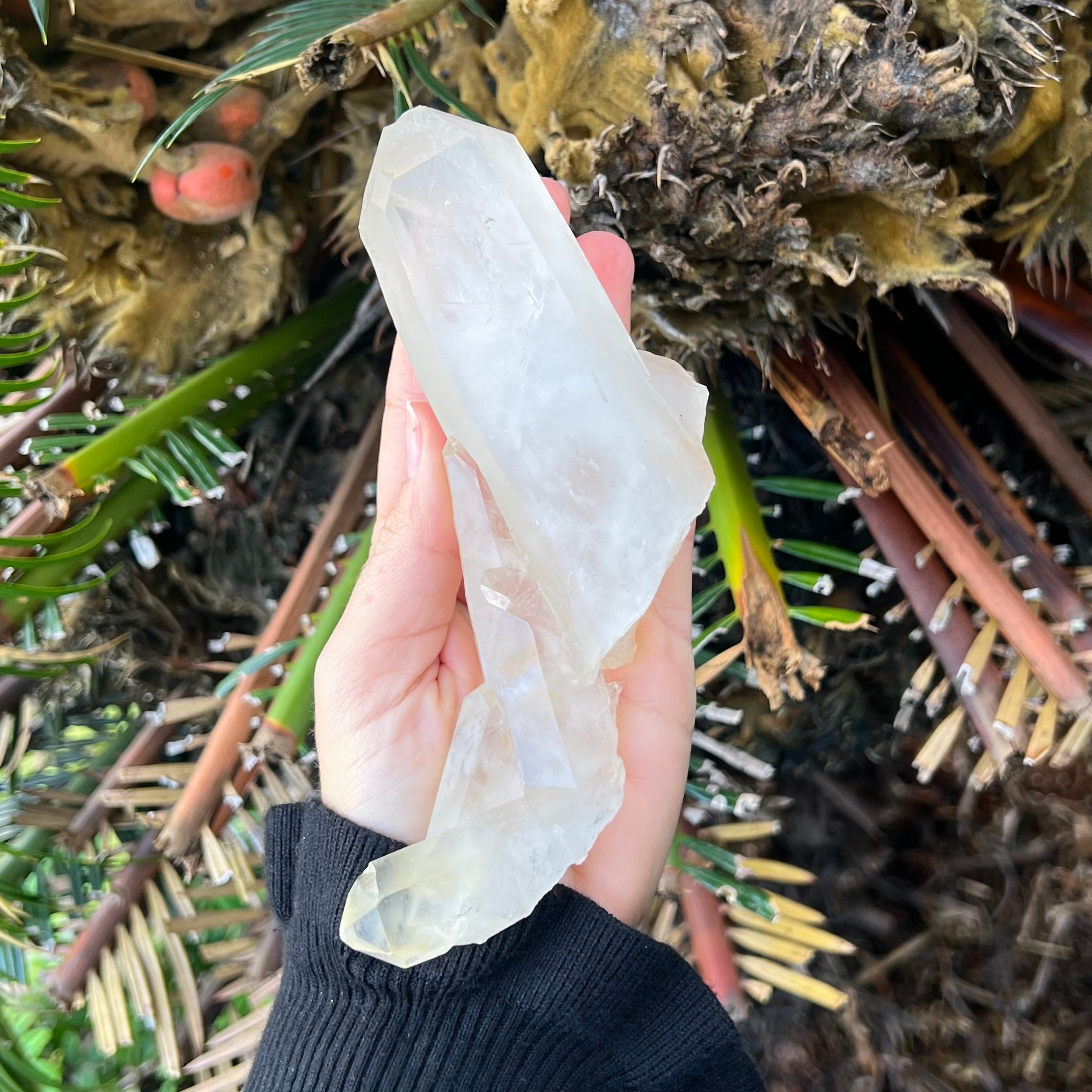 Clear Quartz Record Keeper Cluster