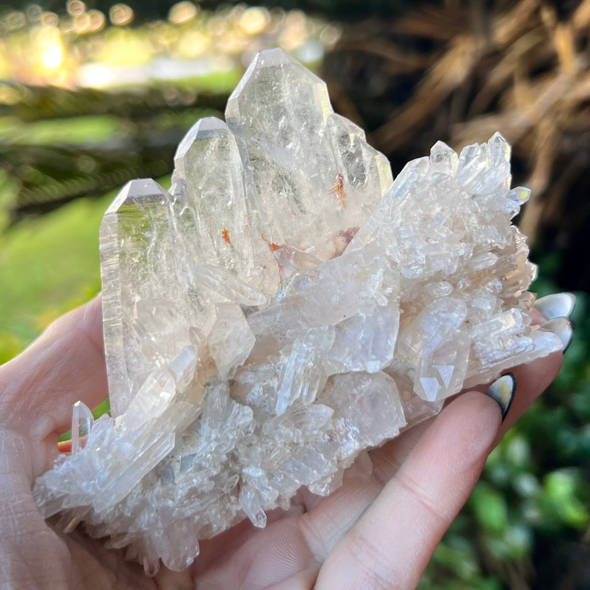 Faden Quartz Family Cluster