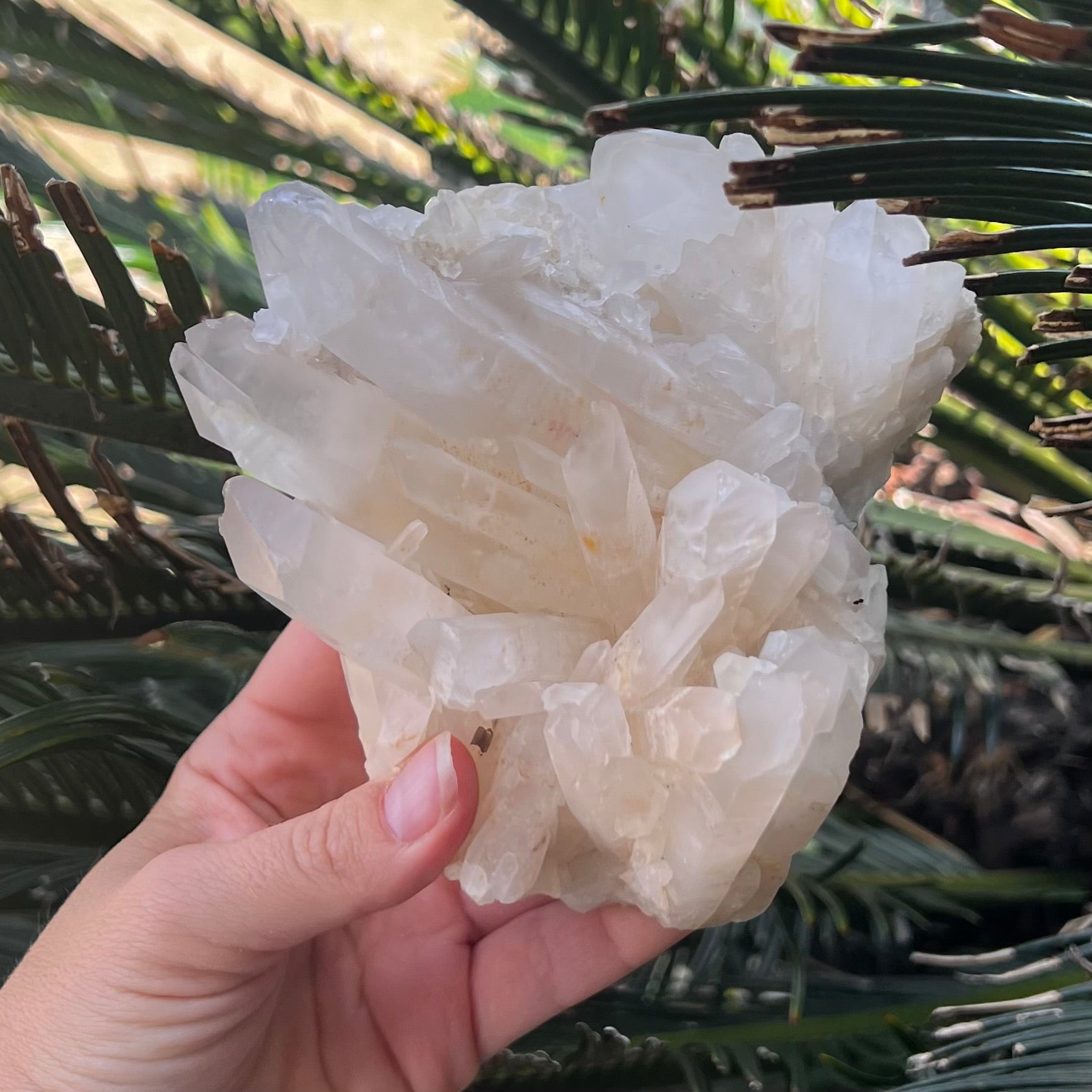 Clear Quartz Natural Raw Cluster
