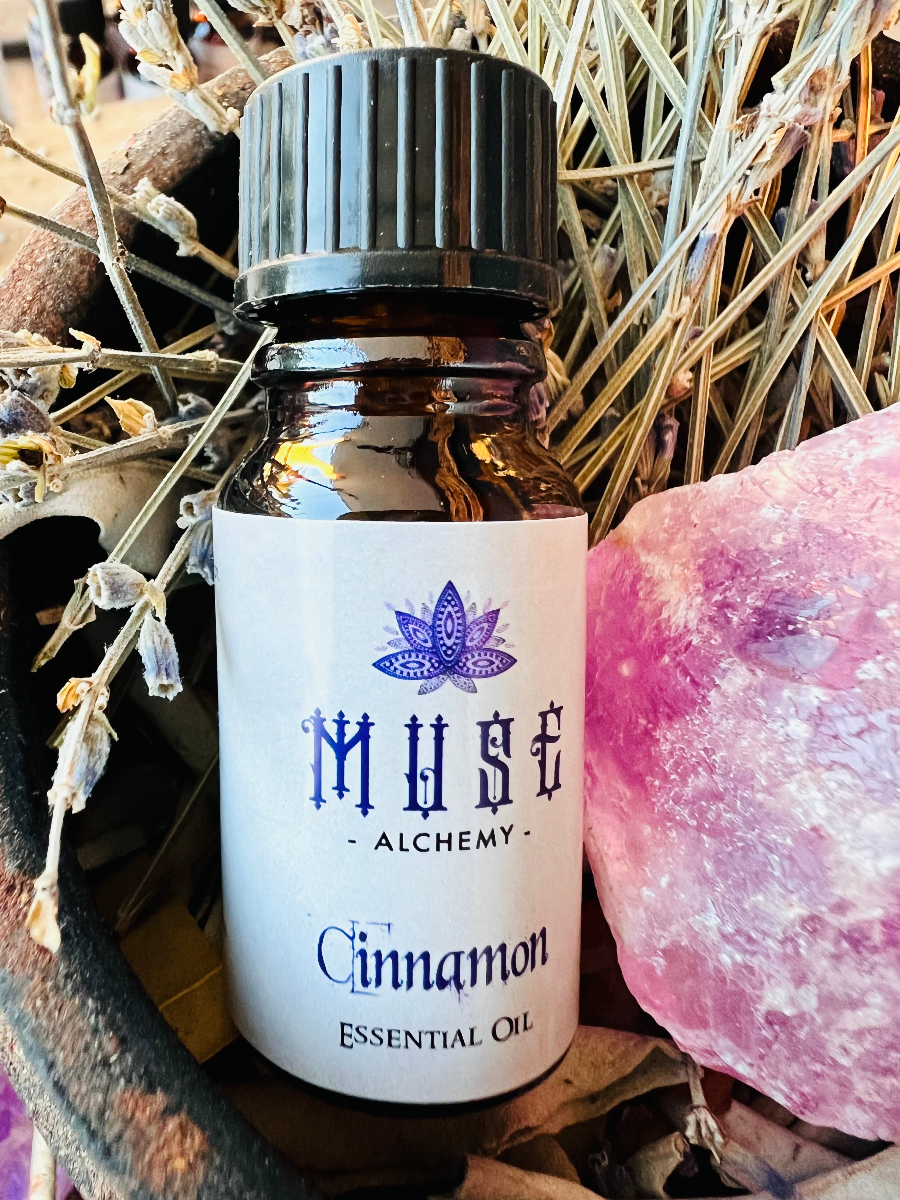 Muse Alchemy ~ Cinnamon Essential Oil 10ml