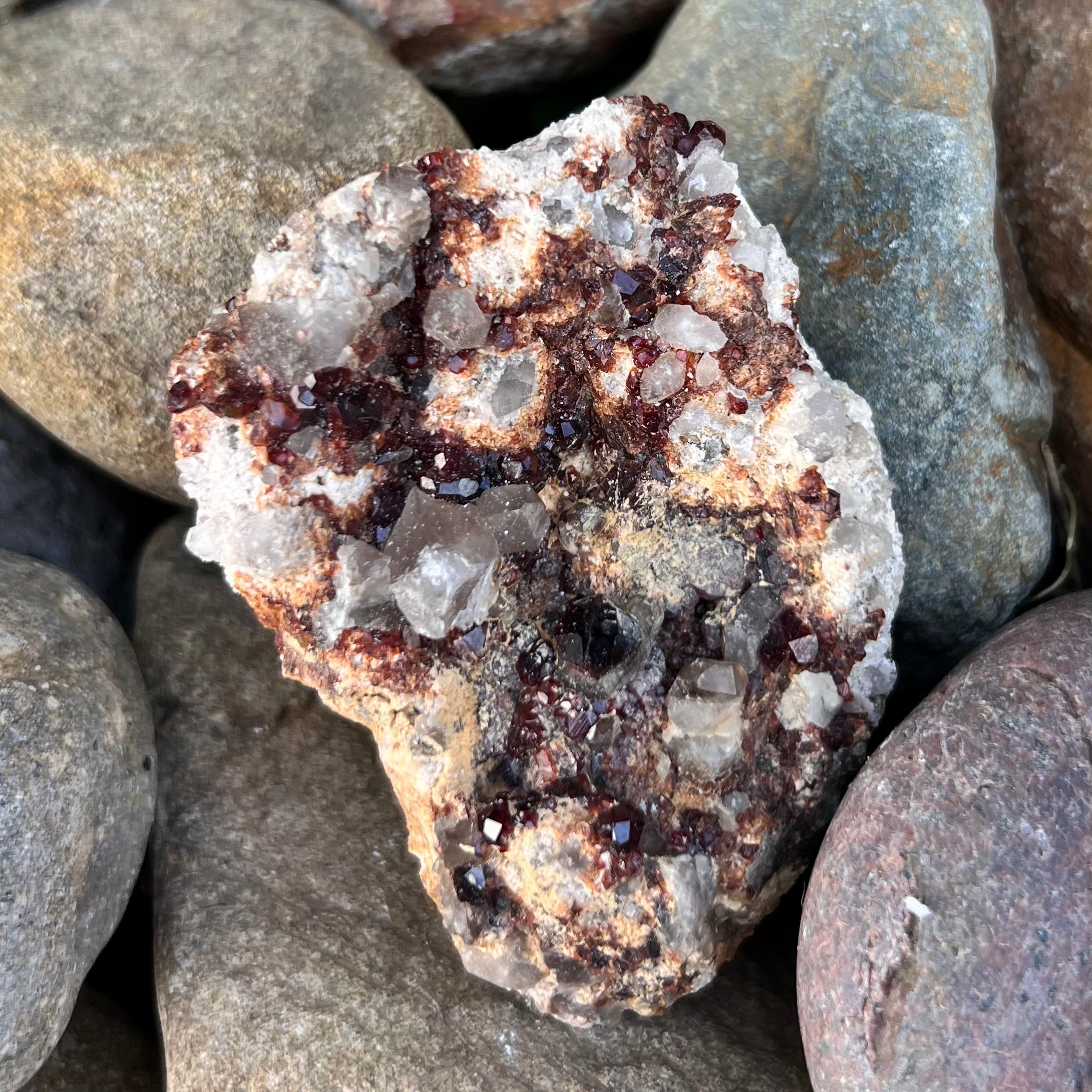 Raw Garnet & Smokey Quartz on Matrix ~ Specialty Crystal
