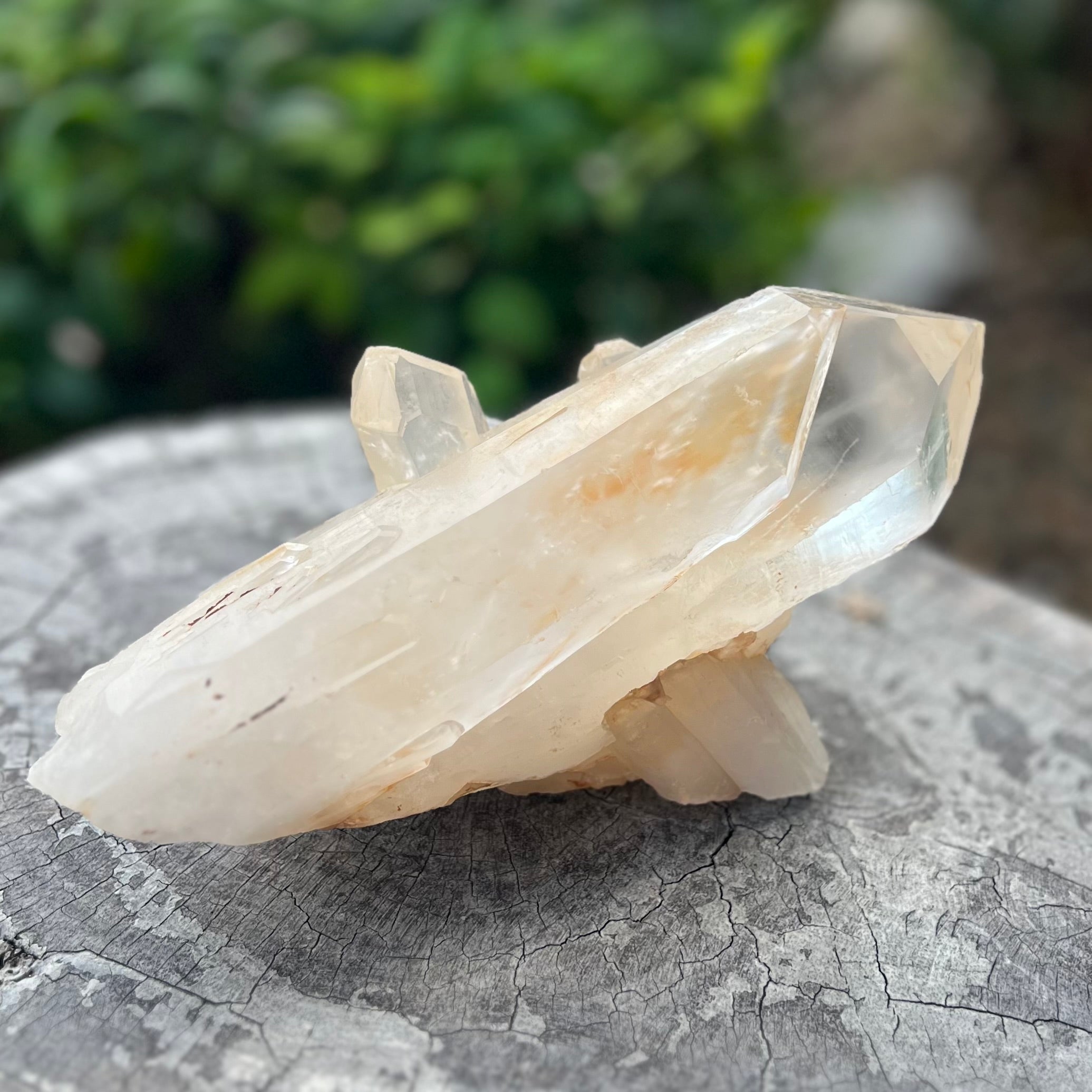Clear Quartz Cluster