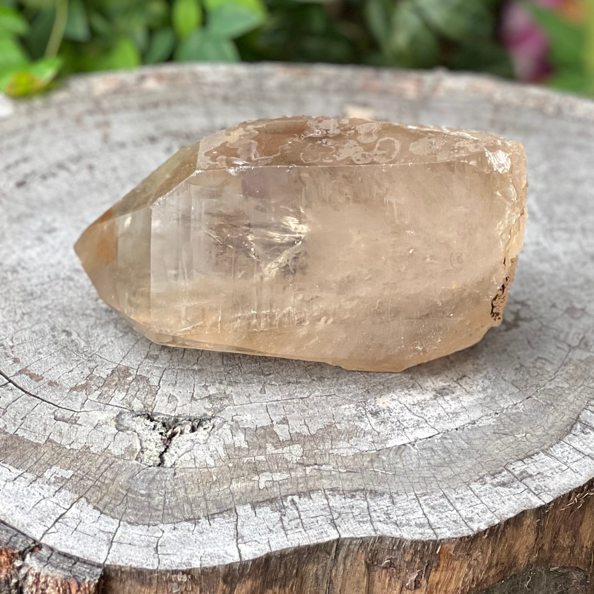 Sensational Citrine Semi Raw Point