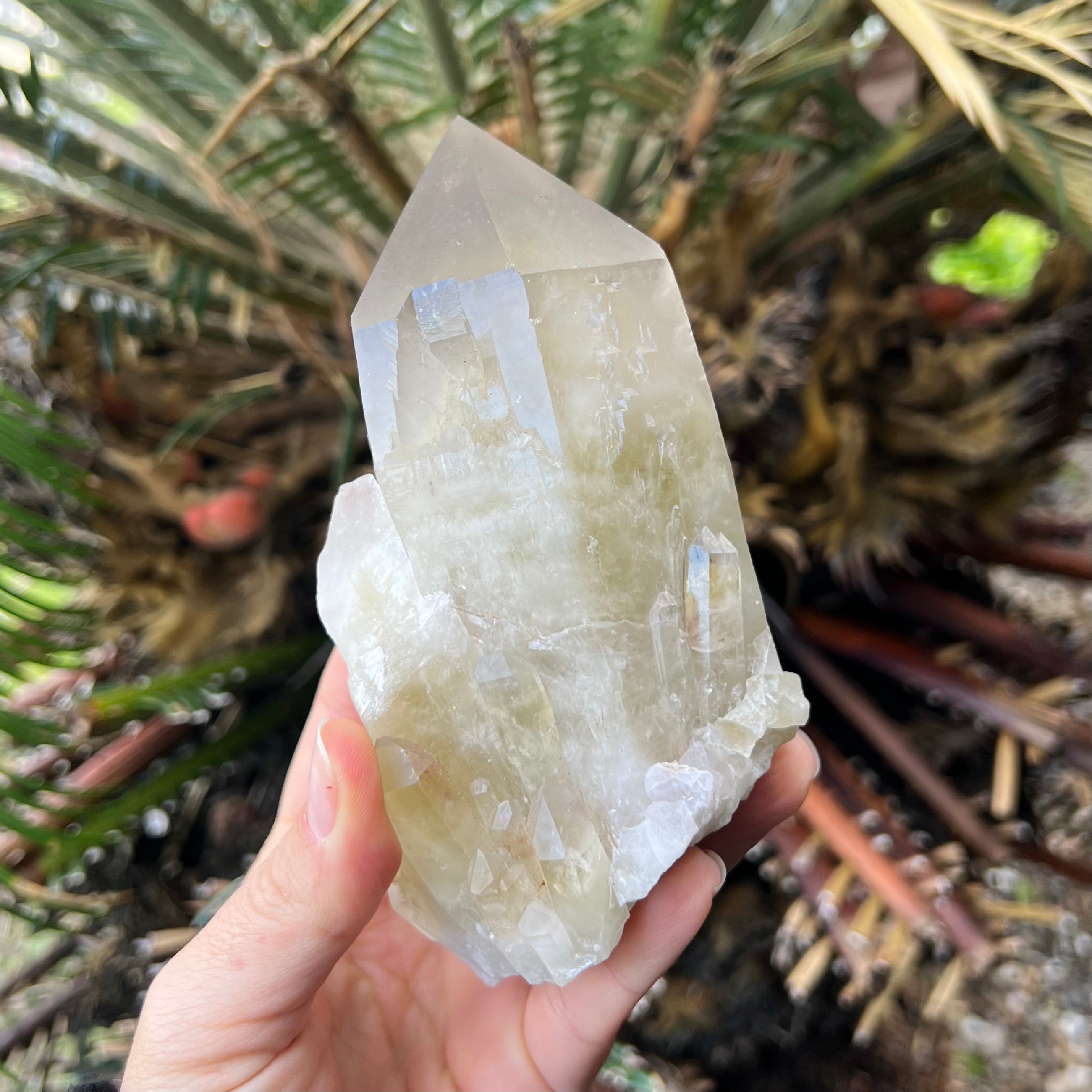 Kundalini Citrine~ Specialty Crystal