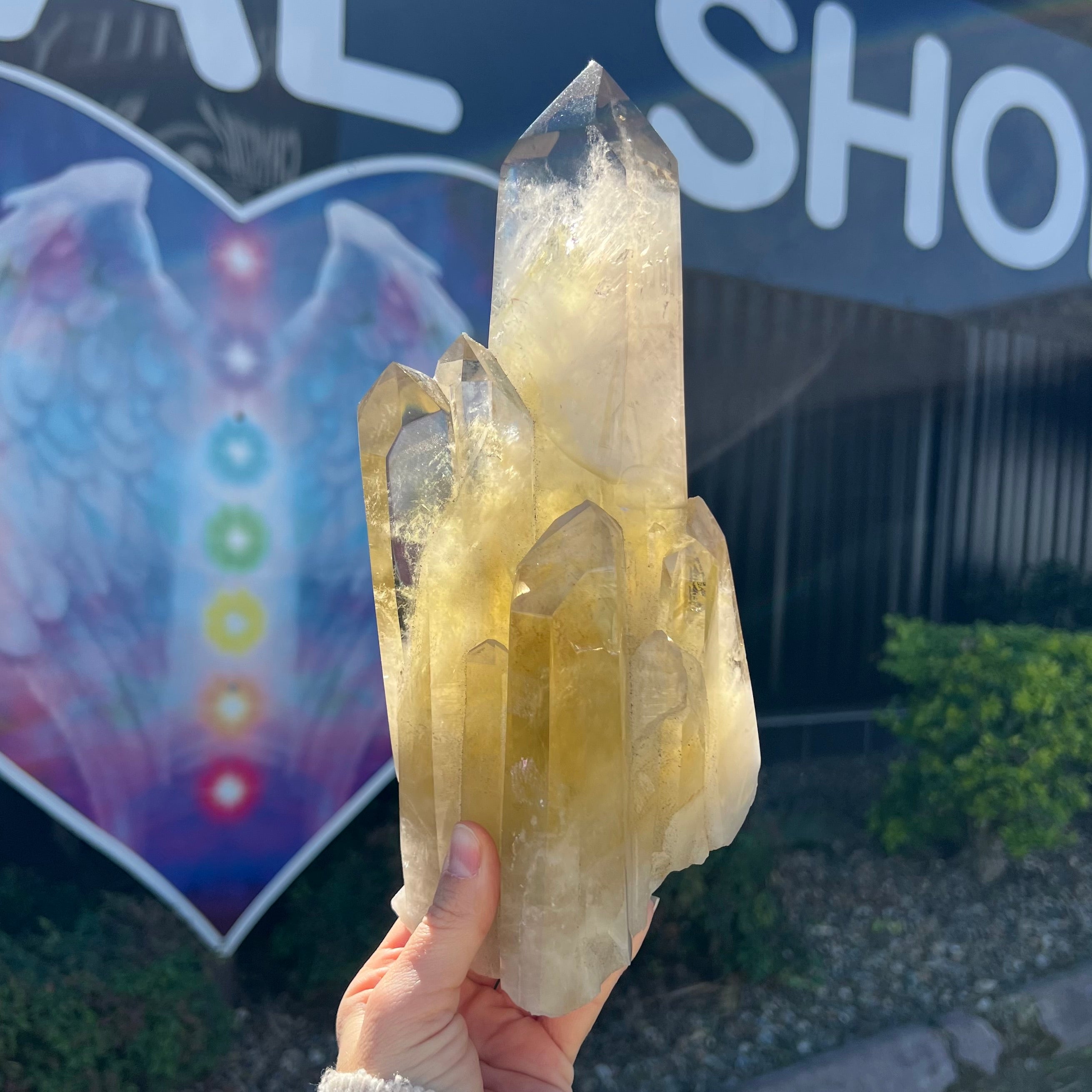 Spectacular Citrine Point Cluster on Stand