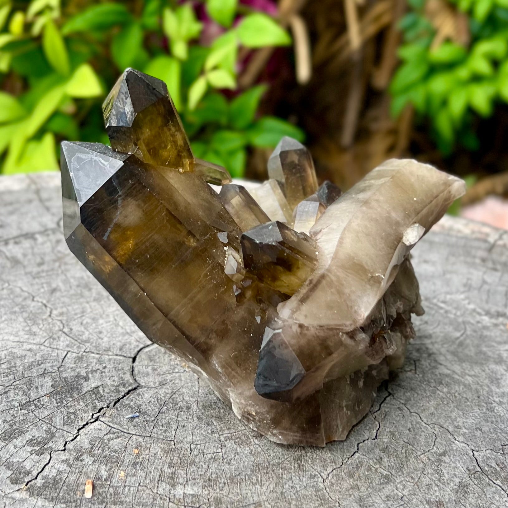 Smokey Quartz Cluster